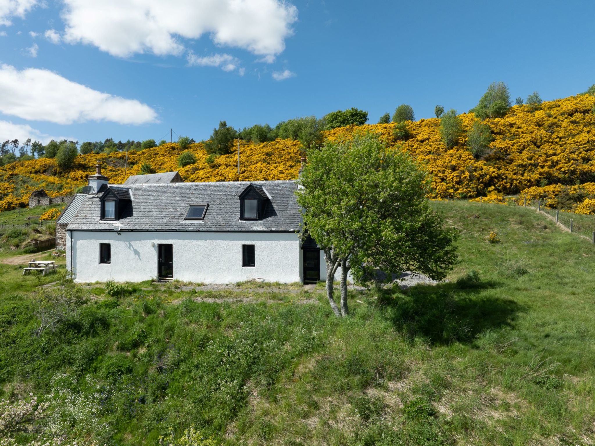 Photo of Wester Bunloit