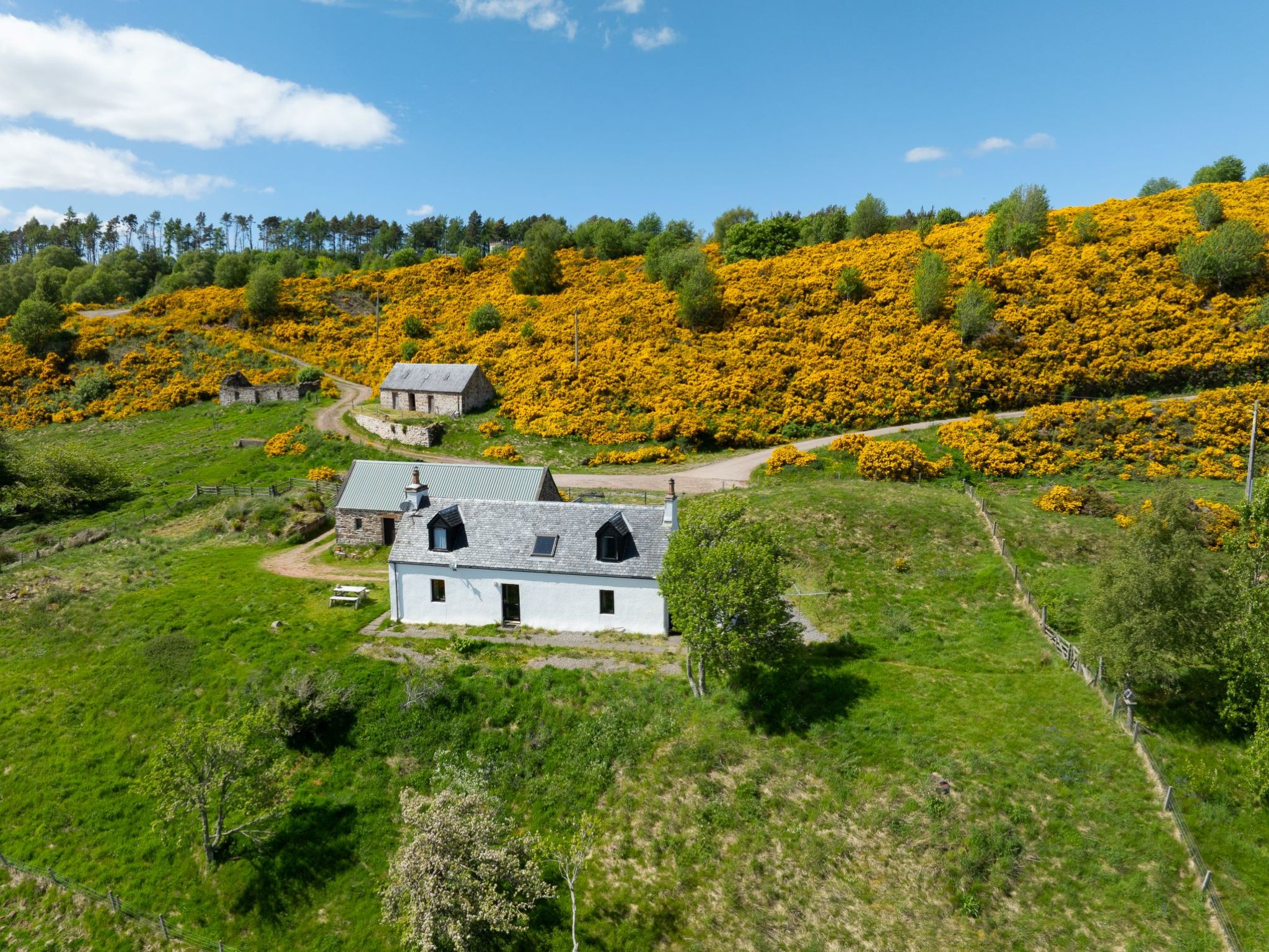 Photo of Wester Bunloit