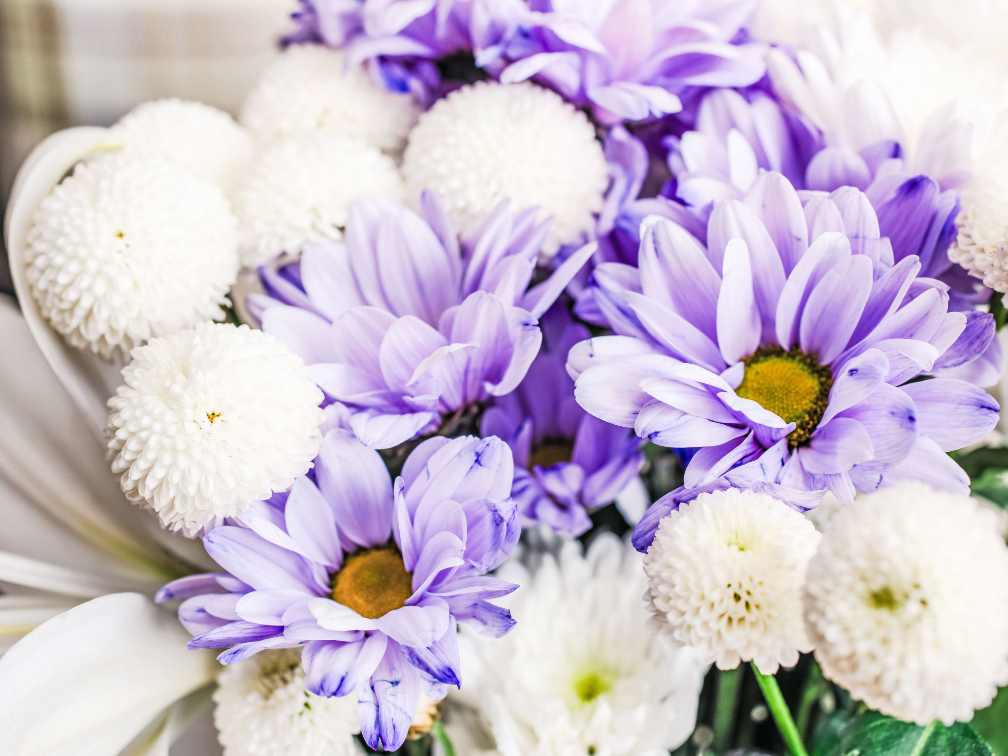 Photo of Bunloit Farmhouse