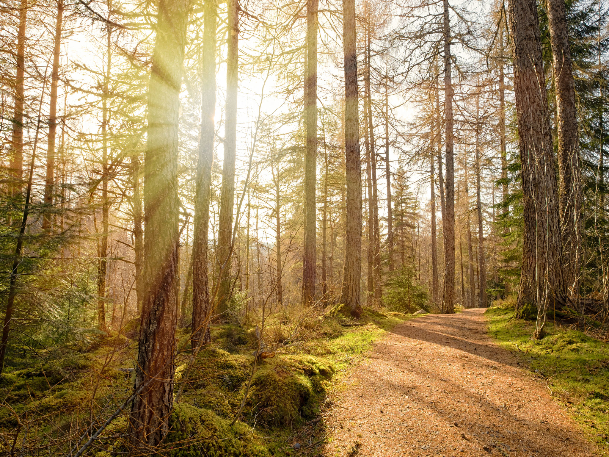 Photo of Strone Cottage