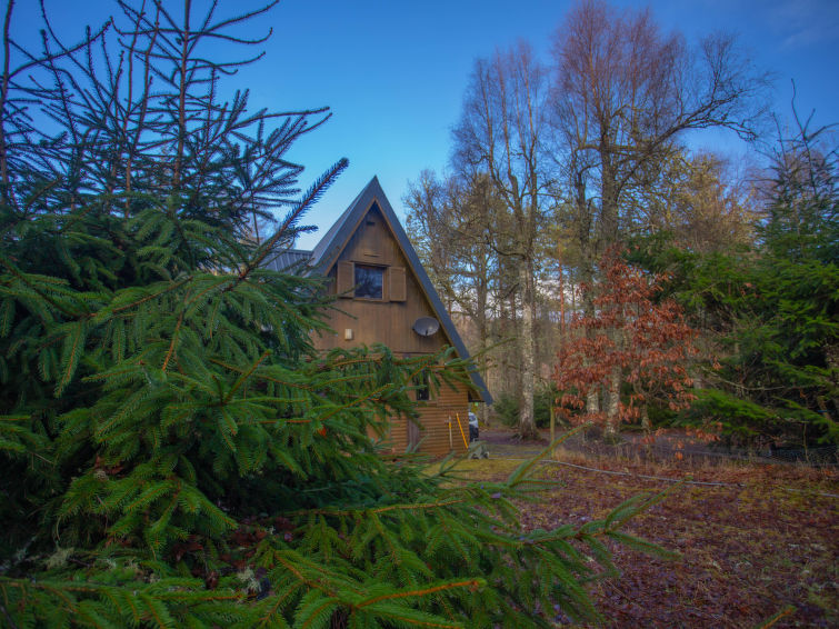 Photo of Birchwood Cottage