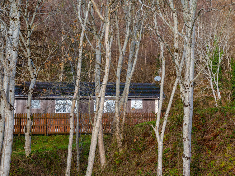 Photo of Loch Ness View