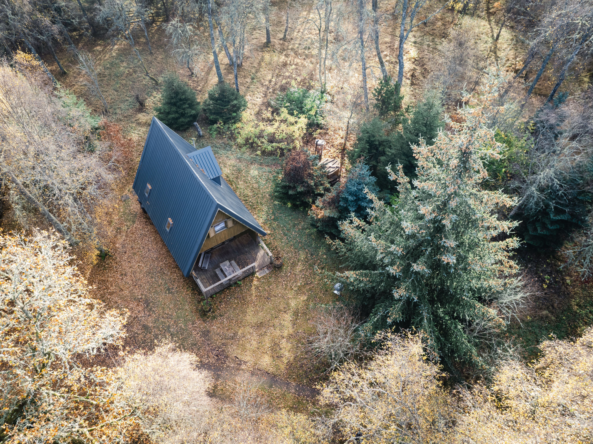 Photo of Birch Rowan Combi