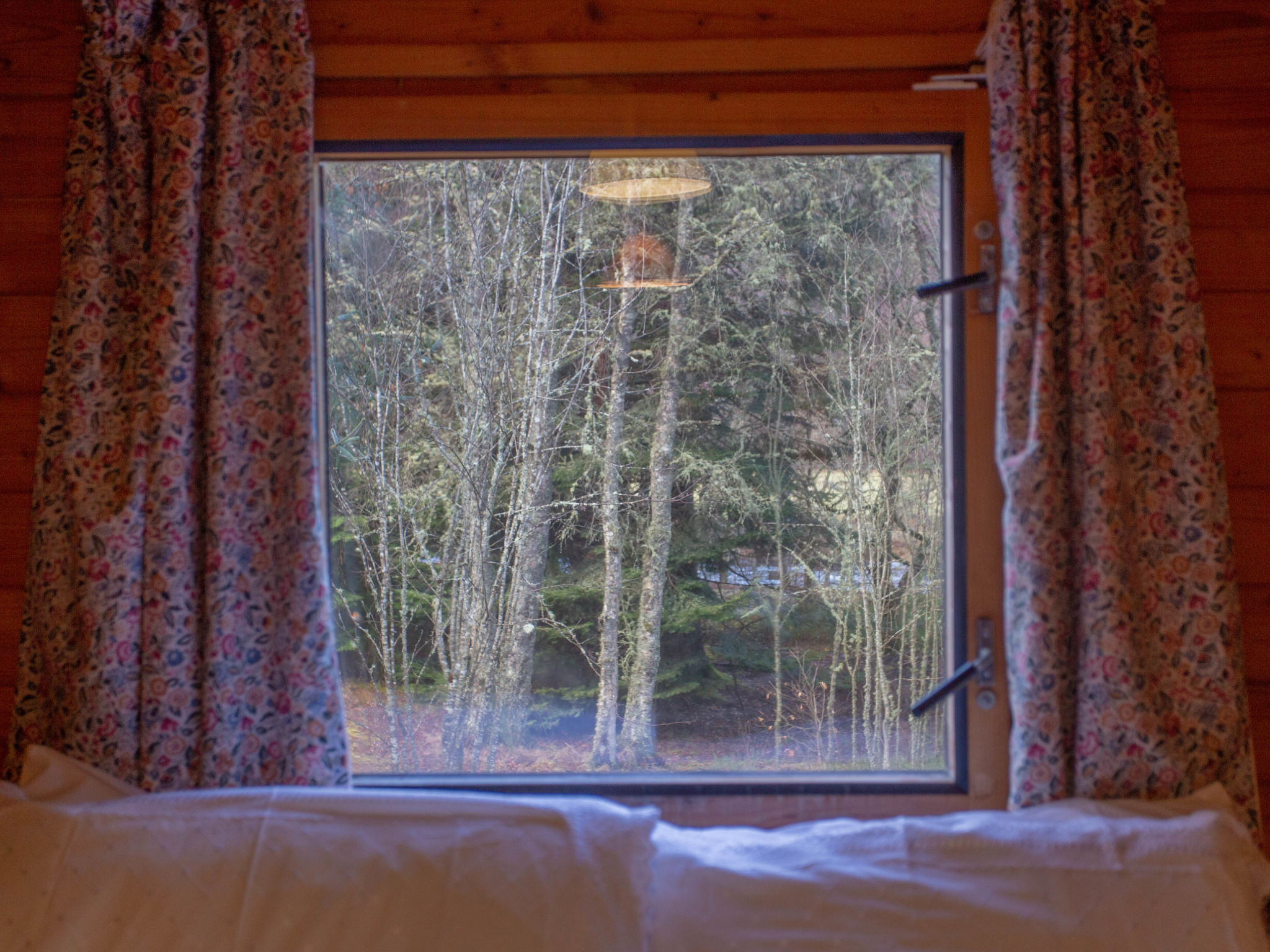 Photo of Birch Rowan Combi