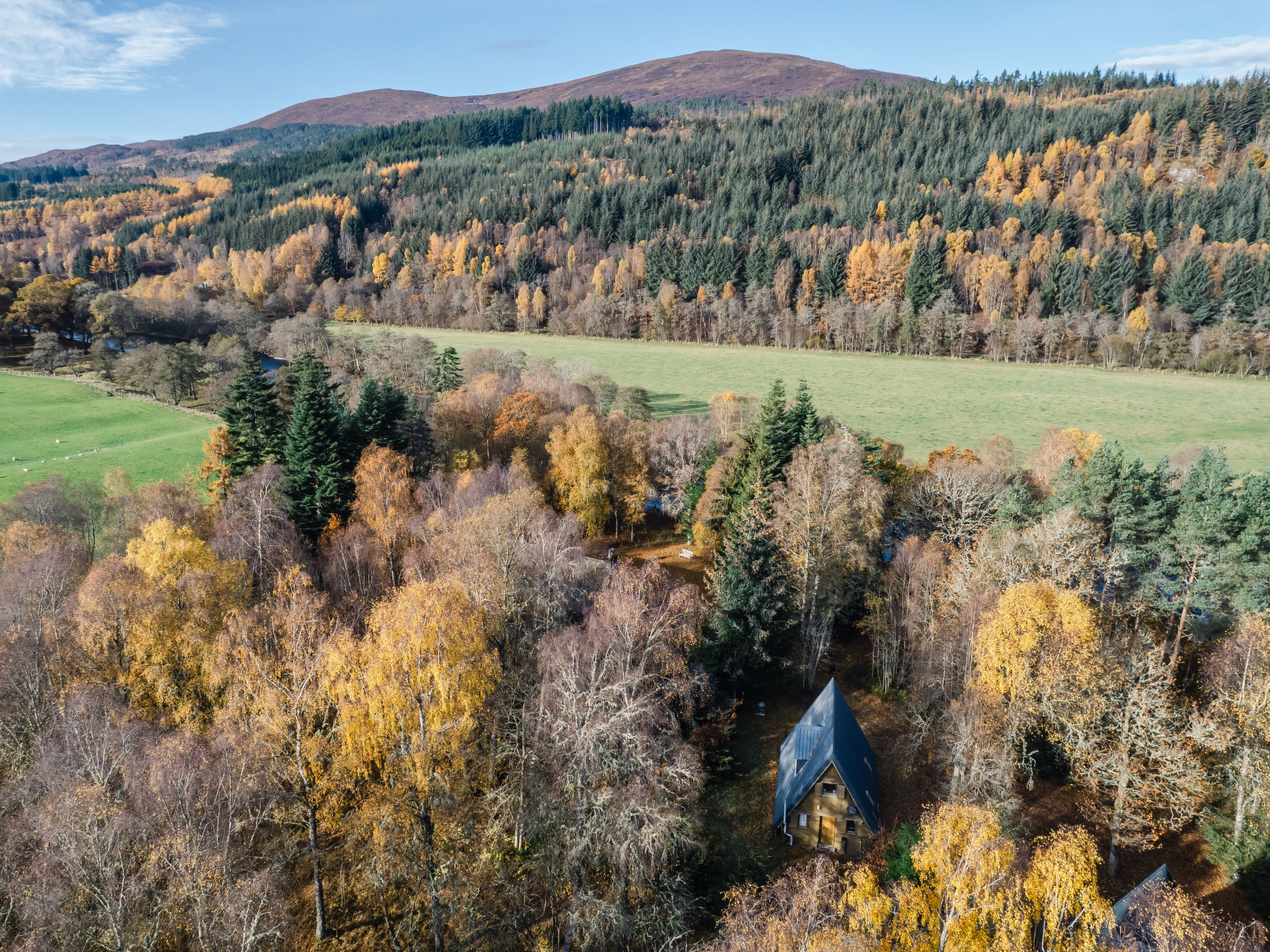 Photo of Birch Rowan Combi