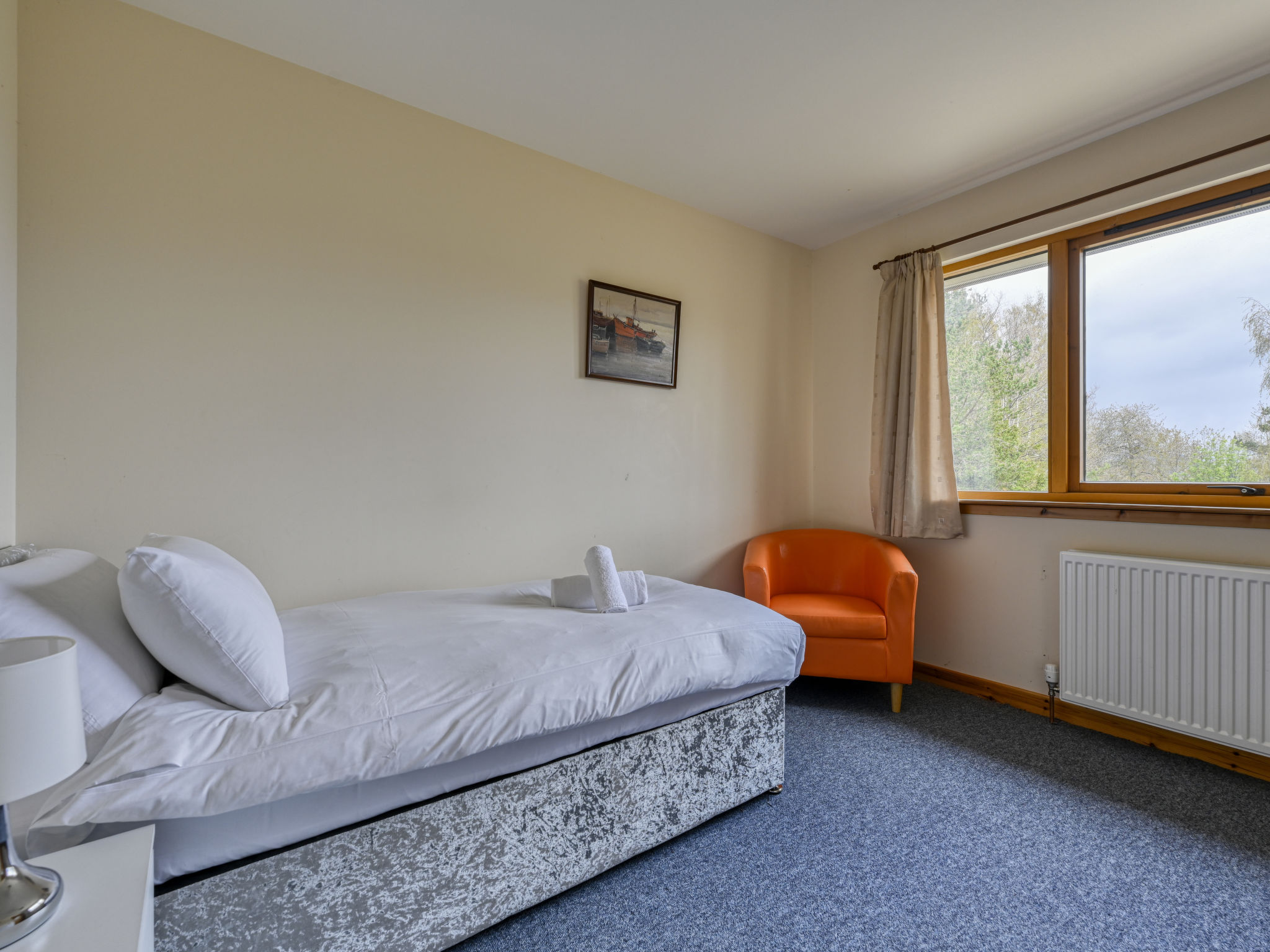 Photo of The New House