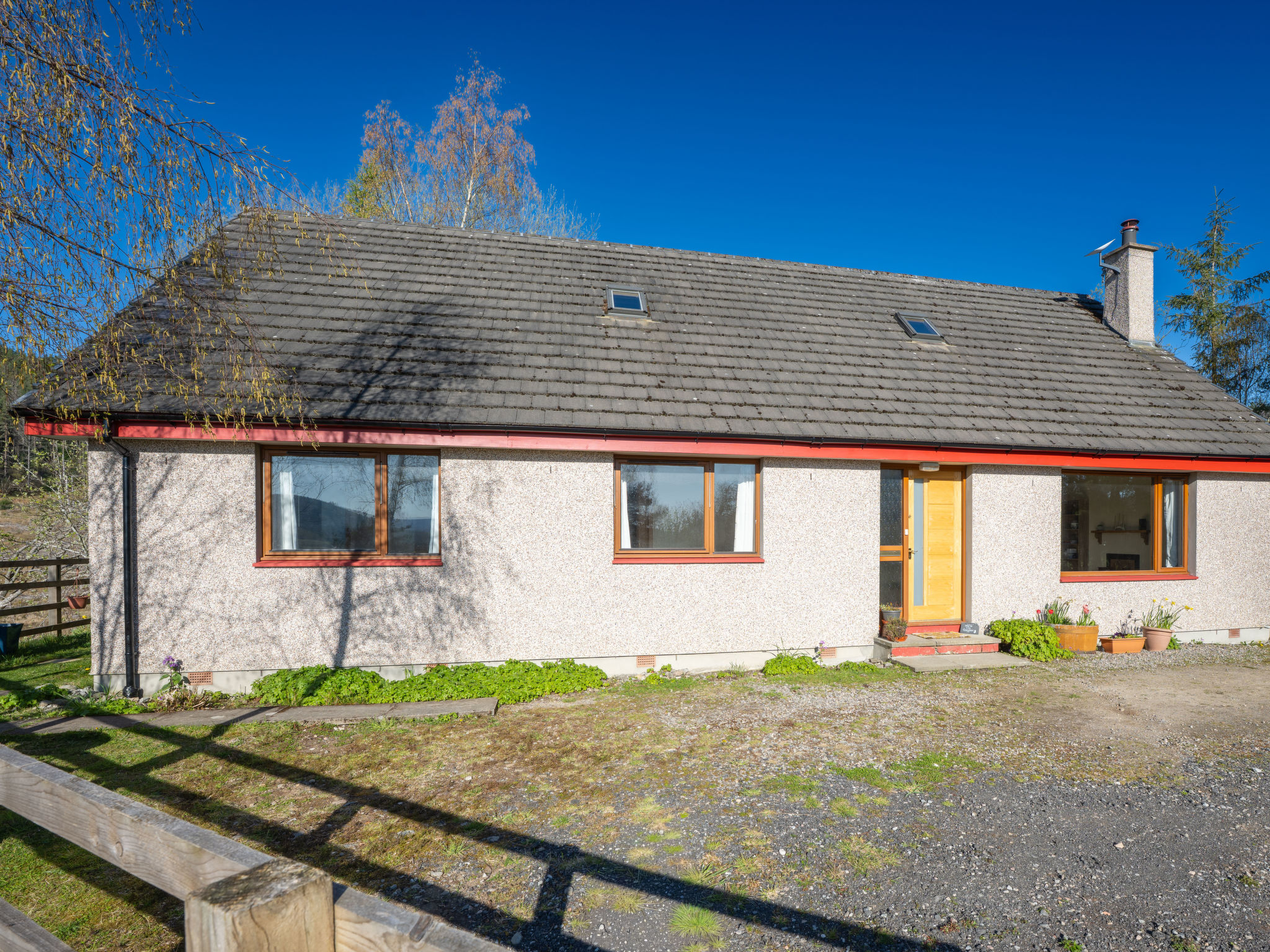 Photo of The New House