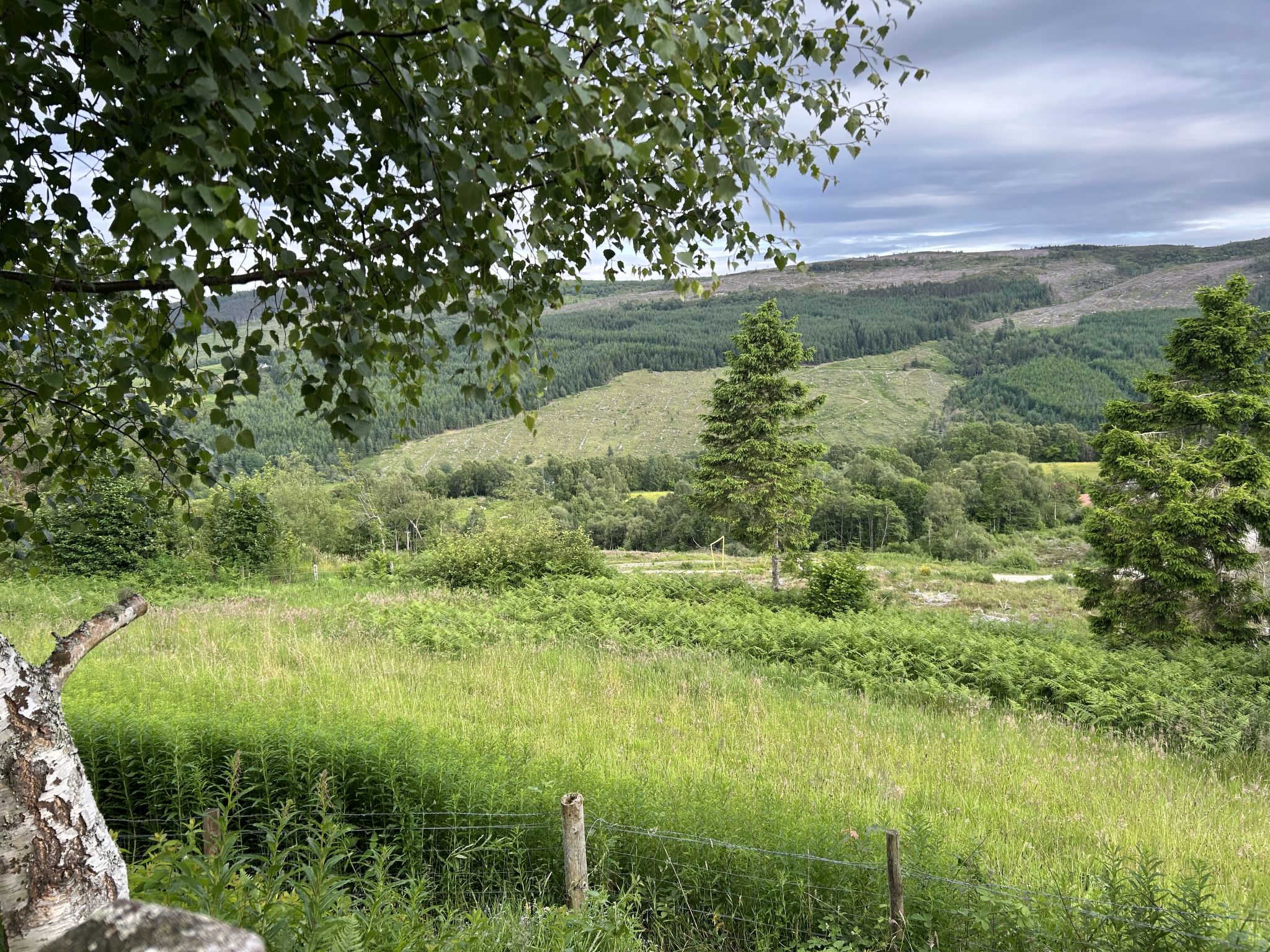 Highland Hilltop Retreat - Buiten