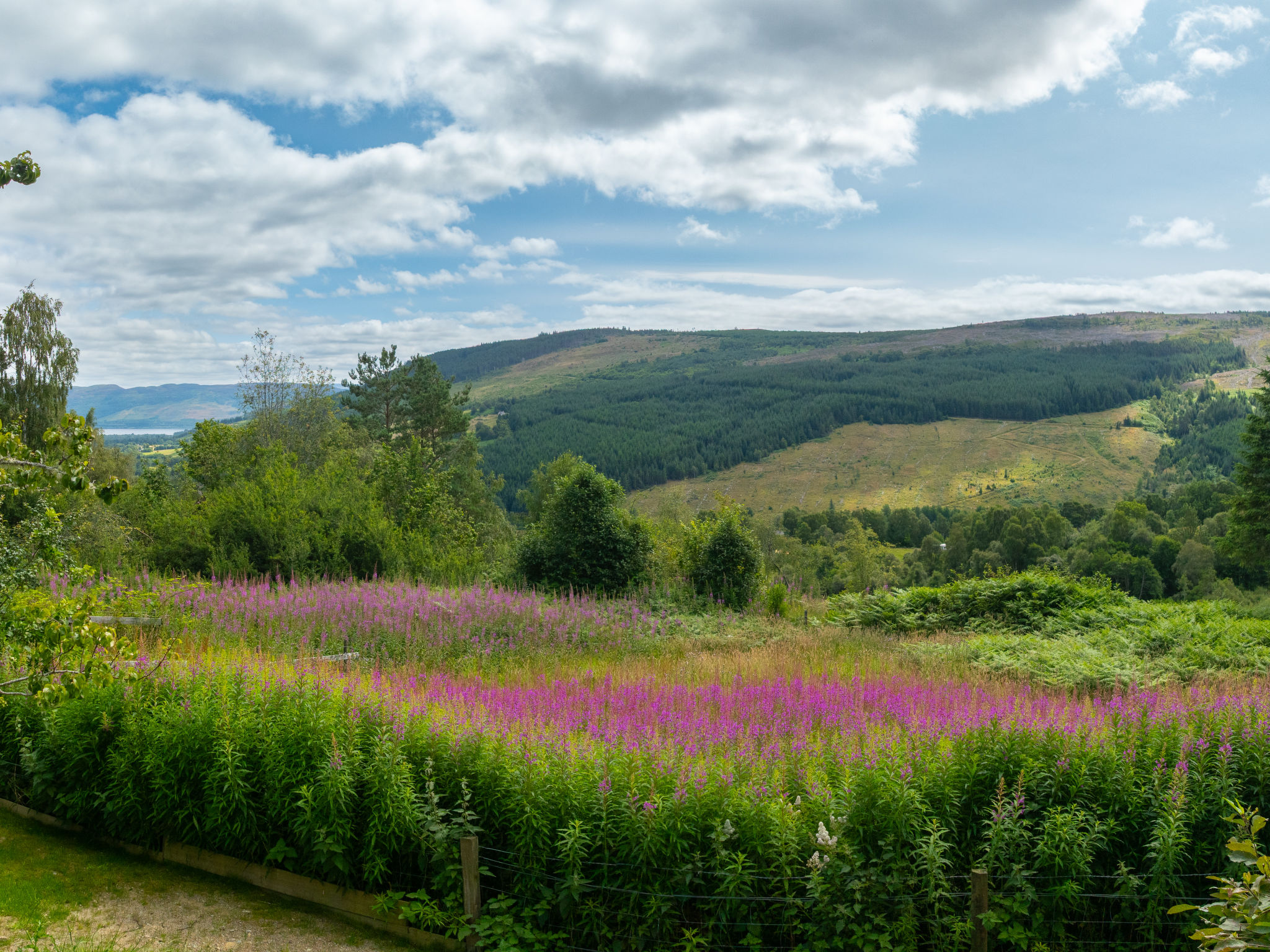 Photo of Highland Hillside Retreat
