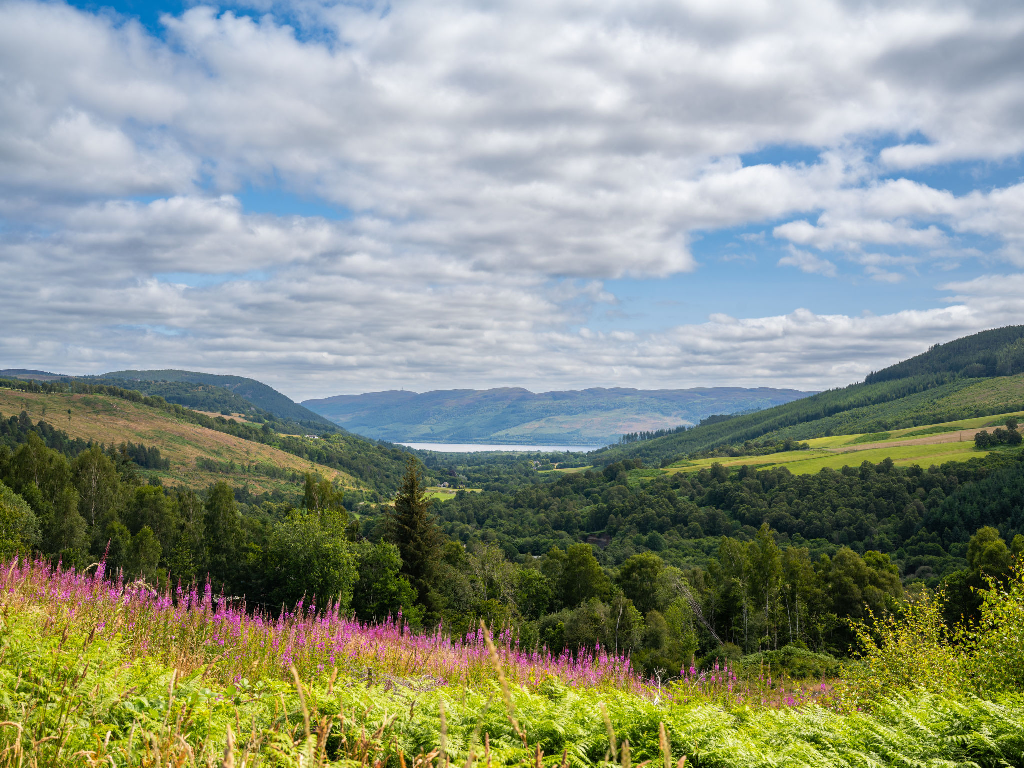 Photo of Highland Hillside Retreat