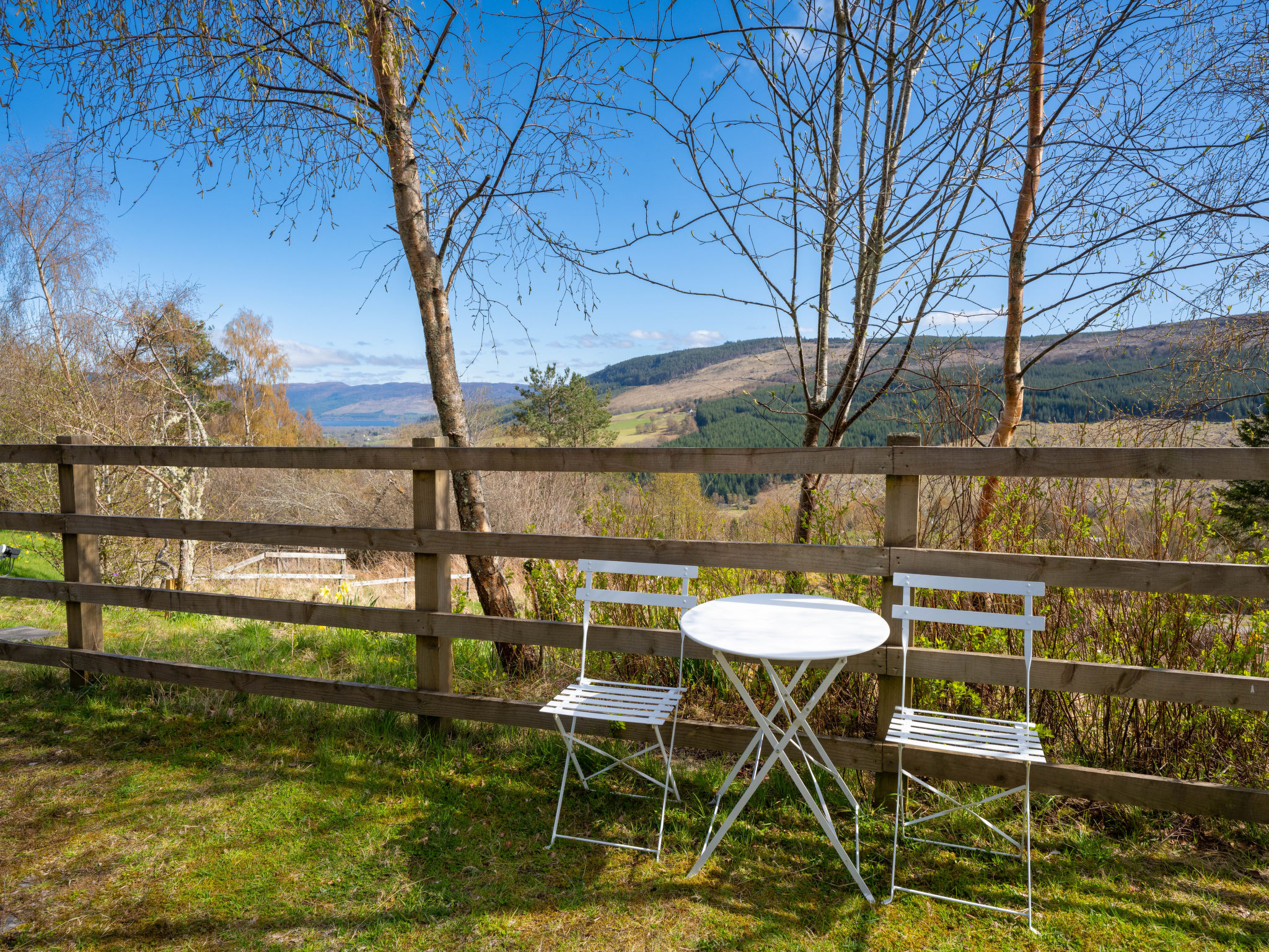 Photo of The New House