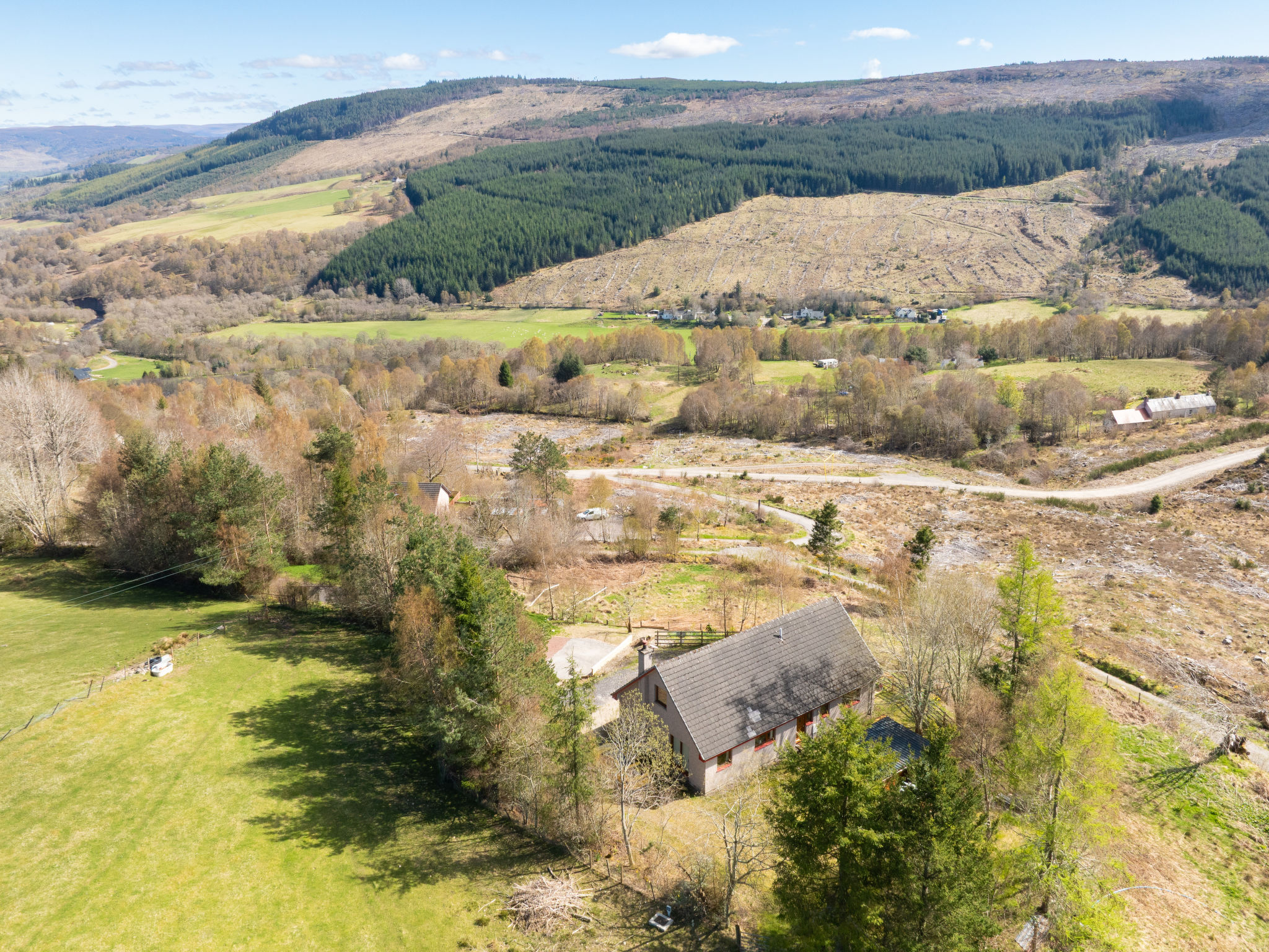 Photo of The New House