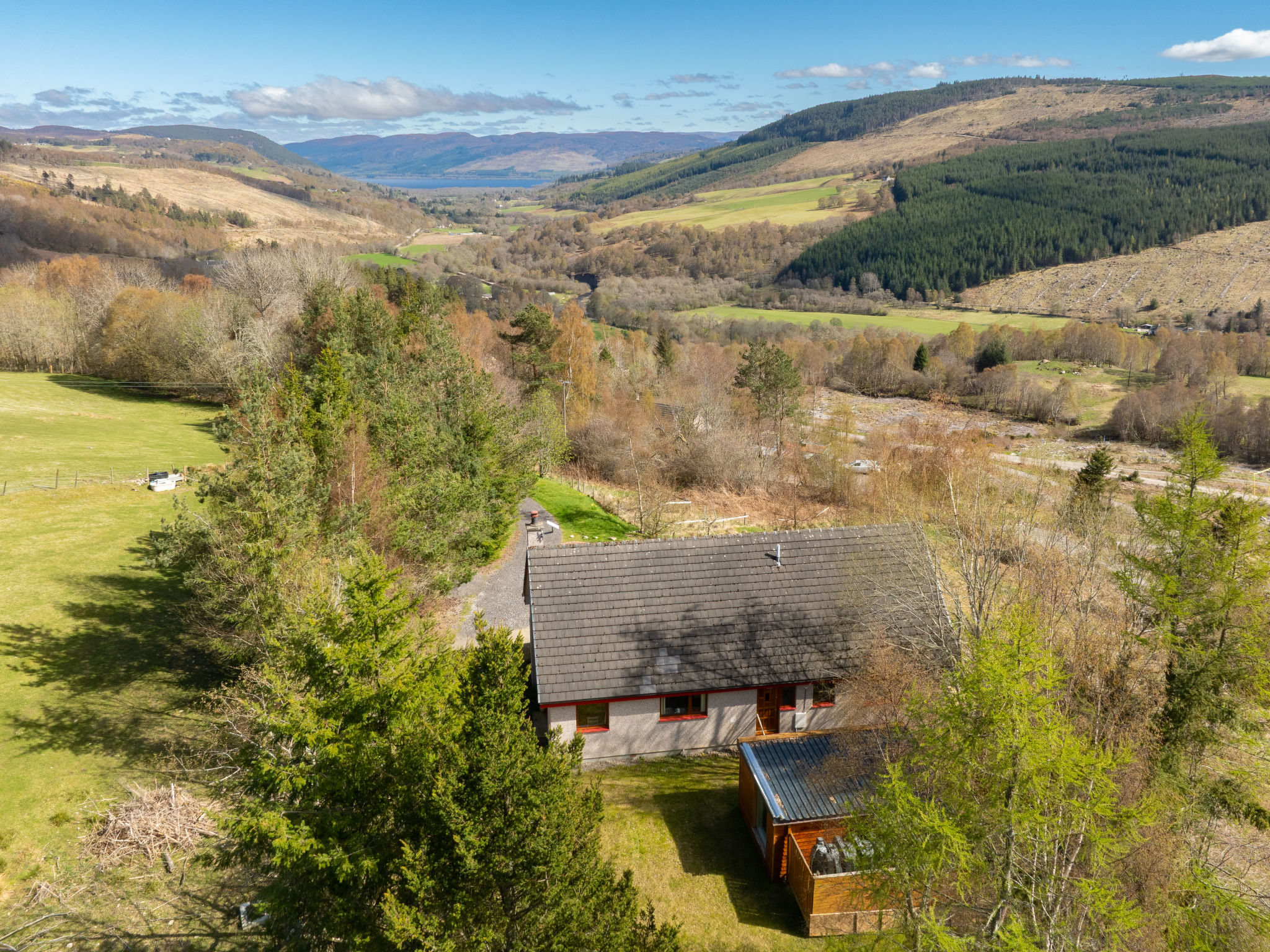 Photo of The New House