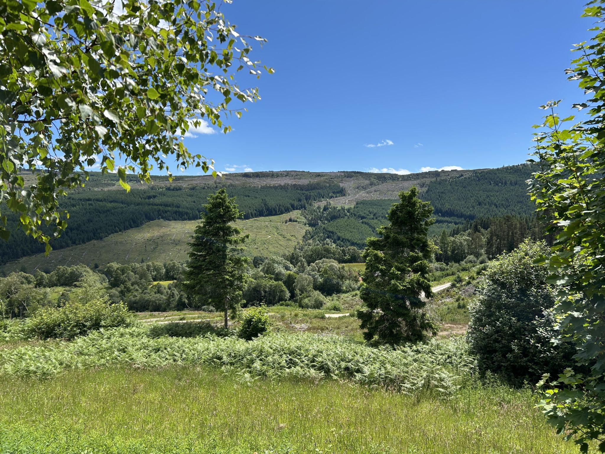 Highland Hilltop Retreat - Buiten