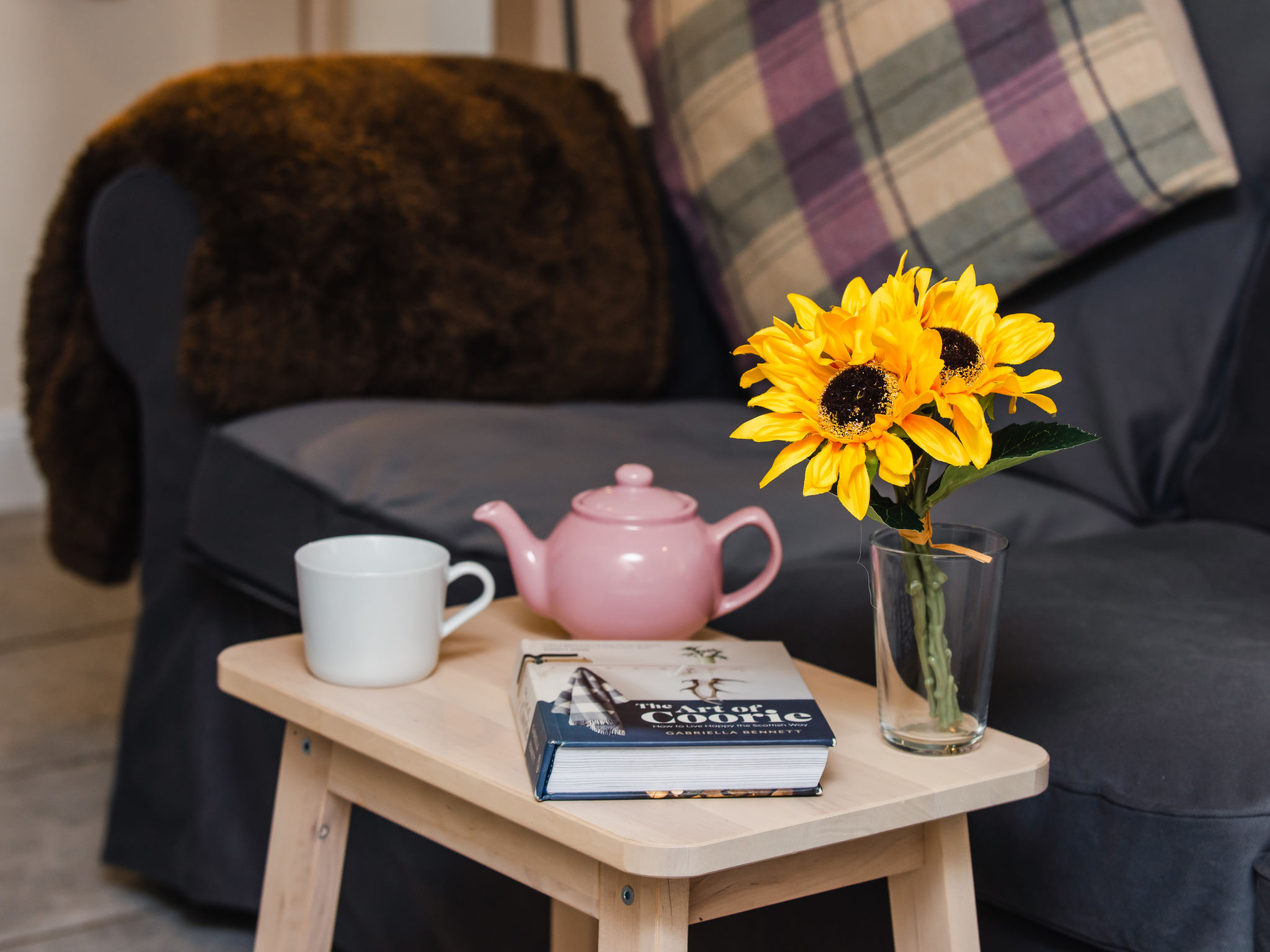 Wayside Bothy-Drinnen