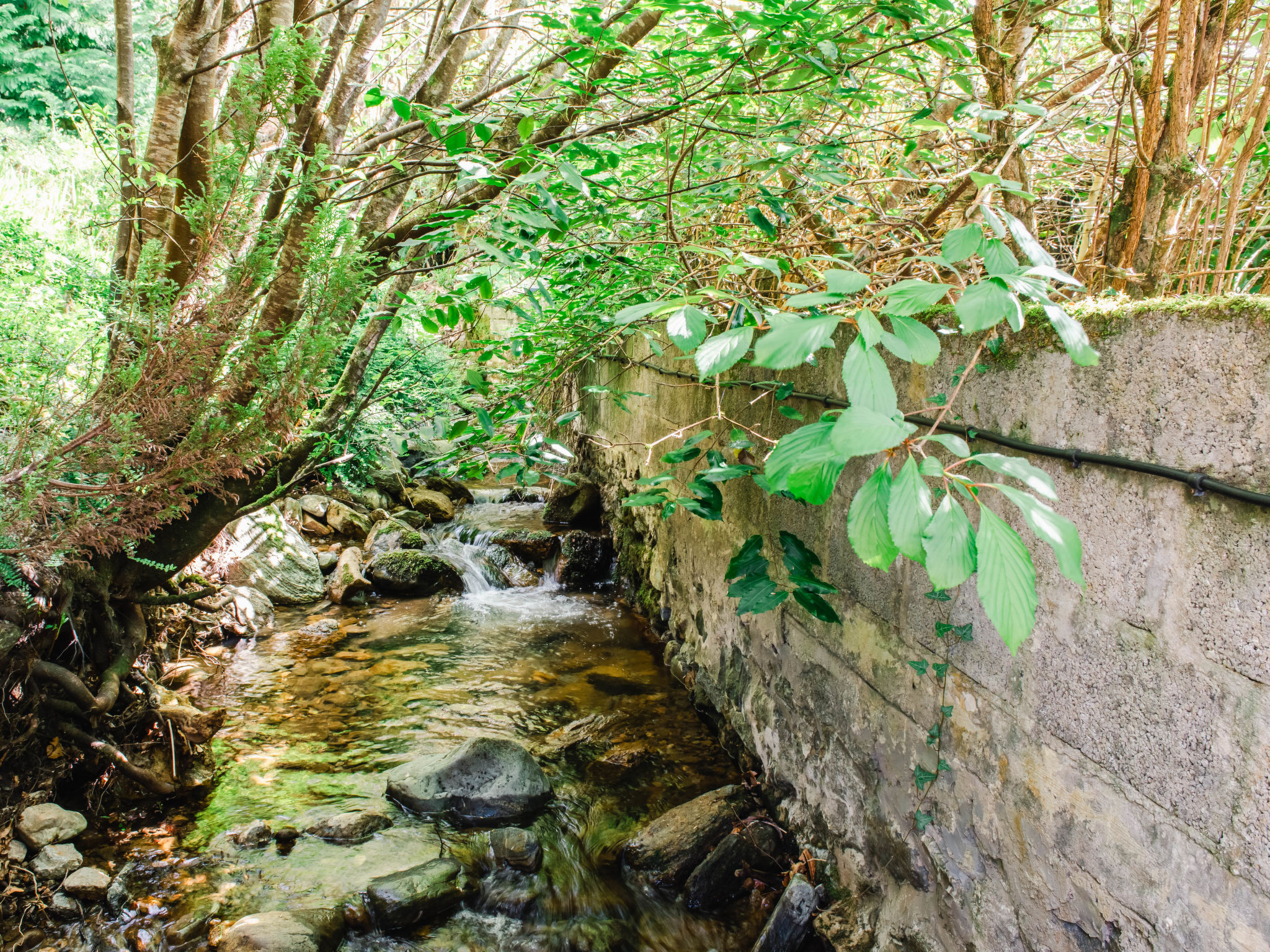 Wayside Bothy-Draußen
