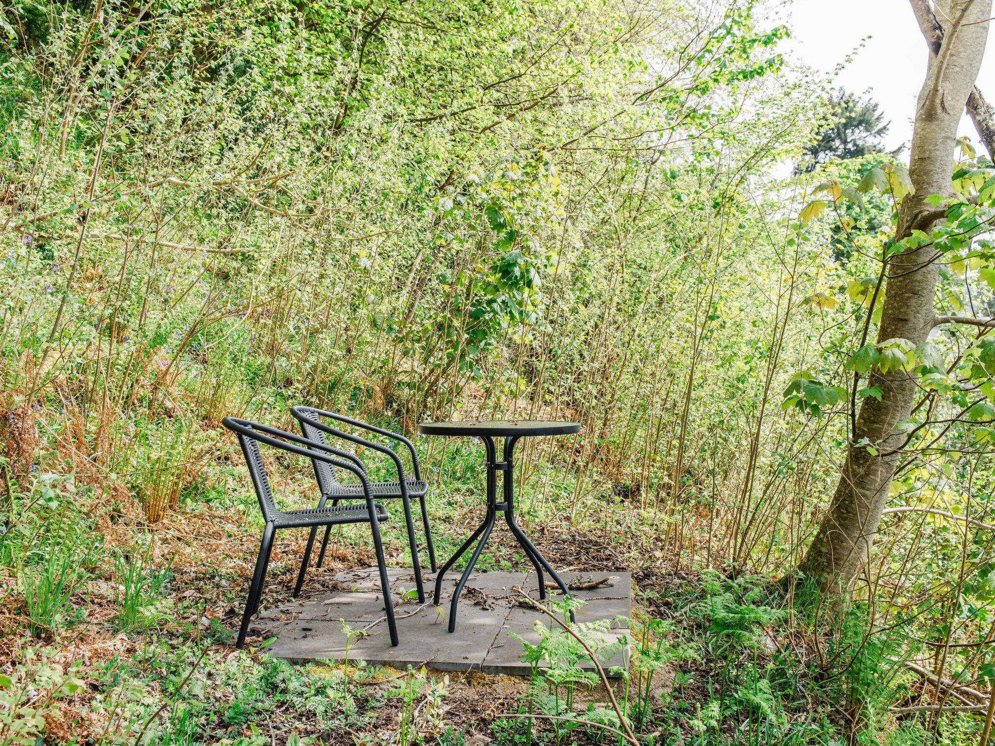 Wayside Bothy-Draußen