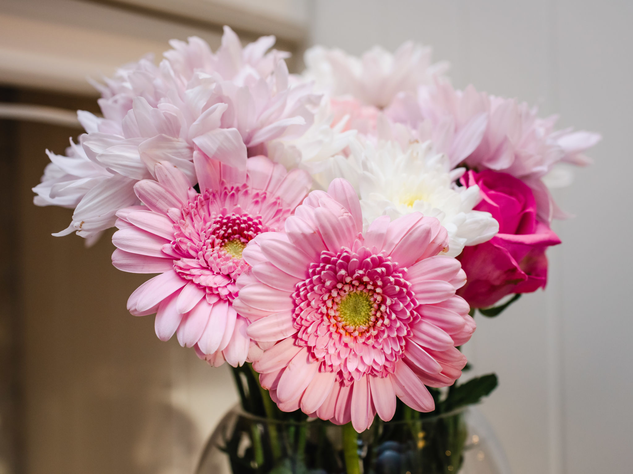 Photo of Mountain View Lodge