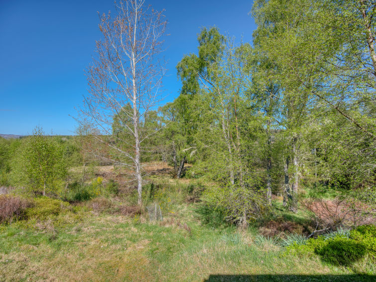 Photo of Rowan Chalet