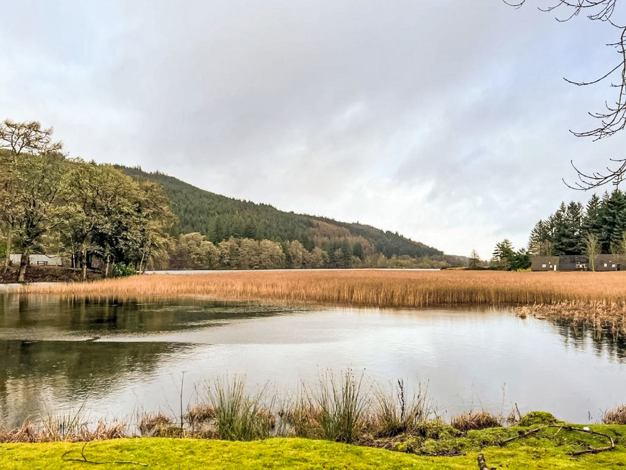 Photo of Glen View