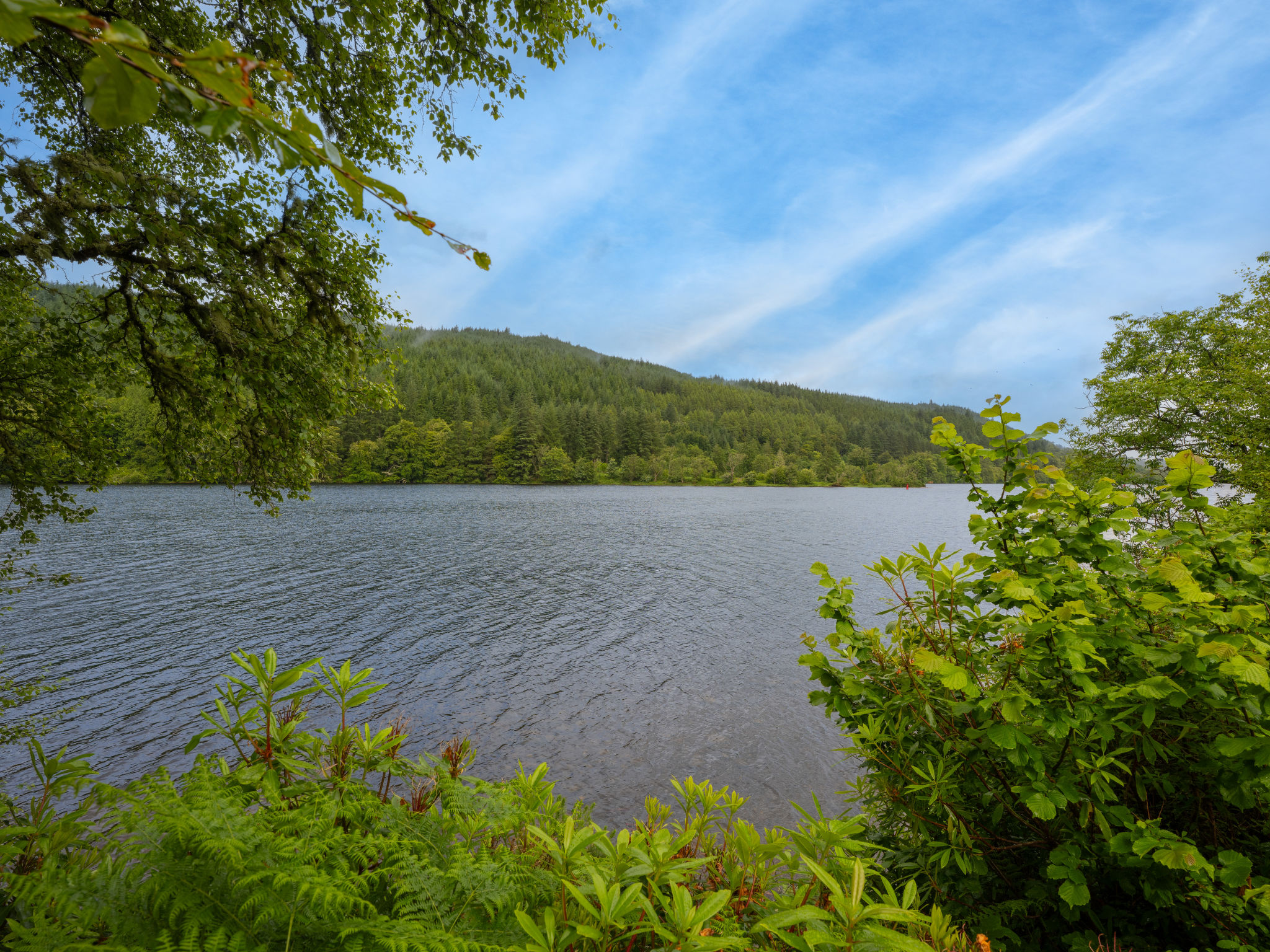 Photo of Loch Oich View (Lodge 6)