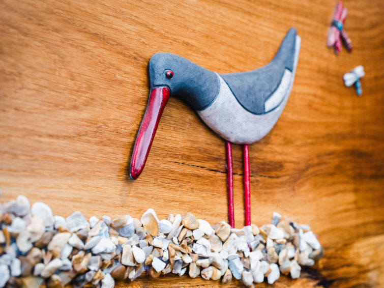 Photo of Oystercatcher