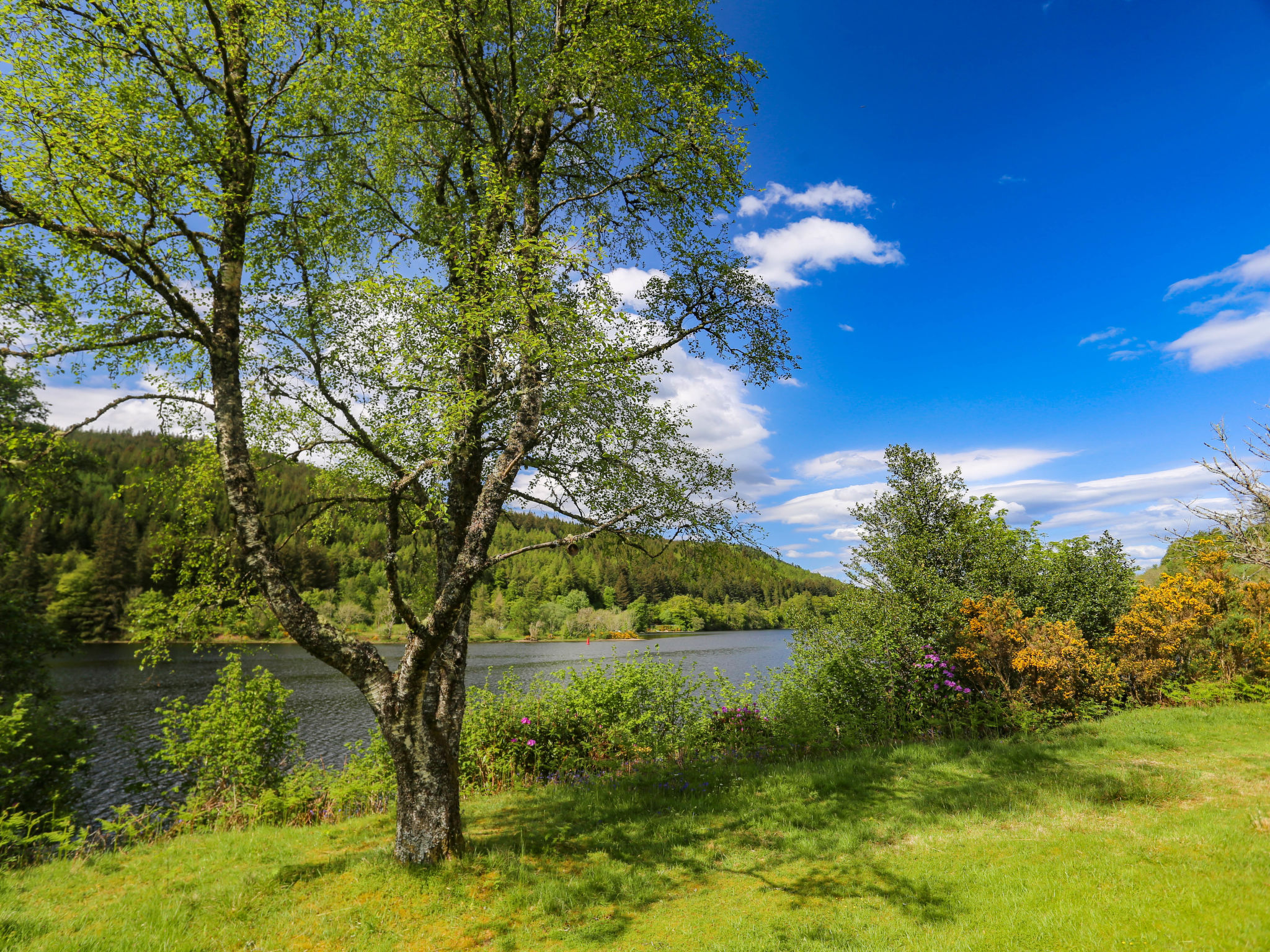 Photo of Invergarry Combi
