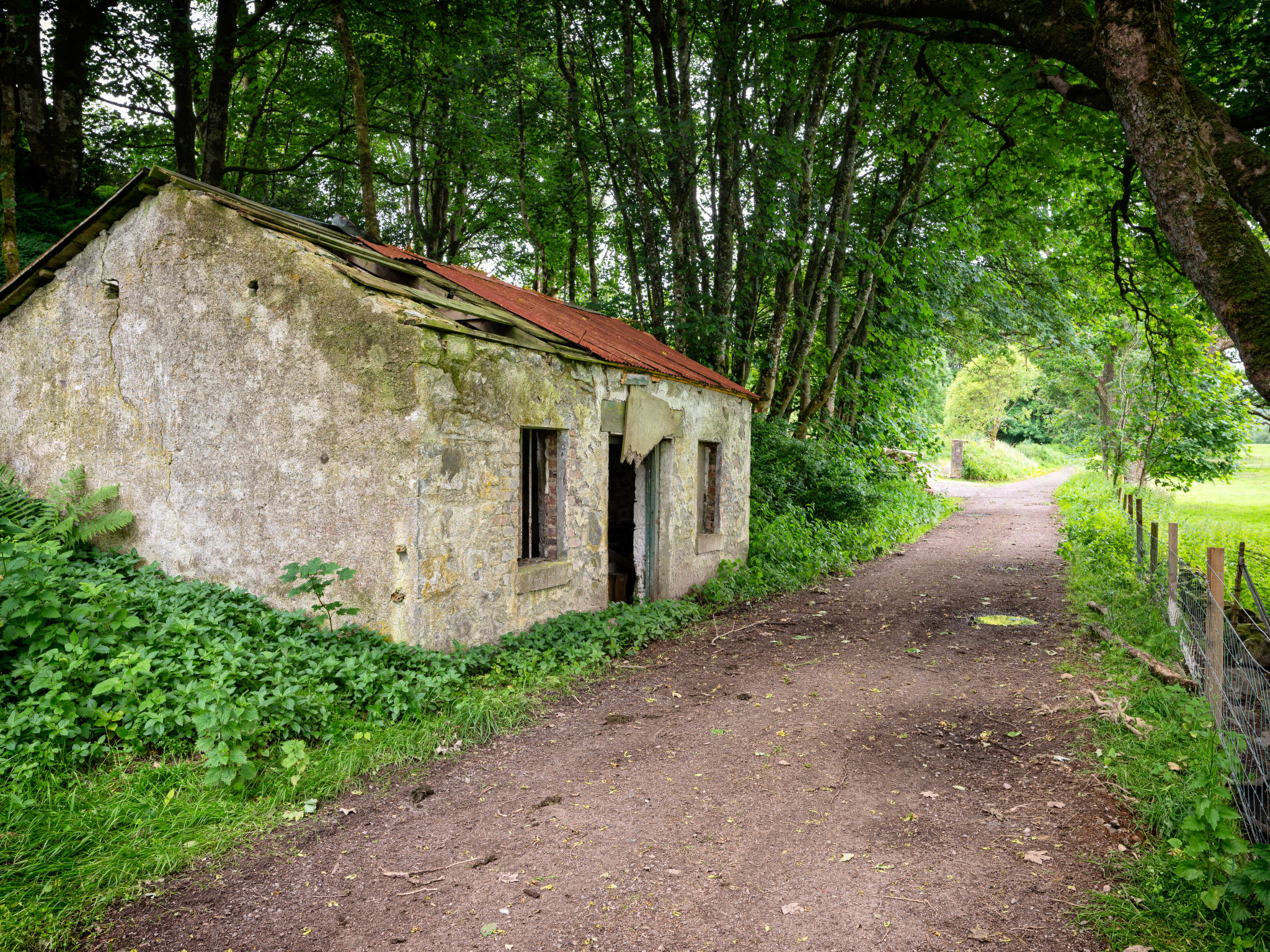 Jenkins Cottage - Omgeving