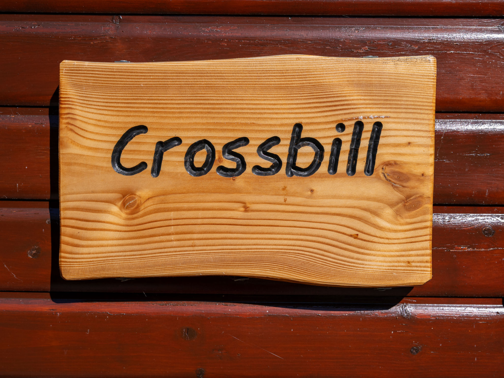 Crossbill Lodge-Buiten