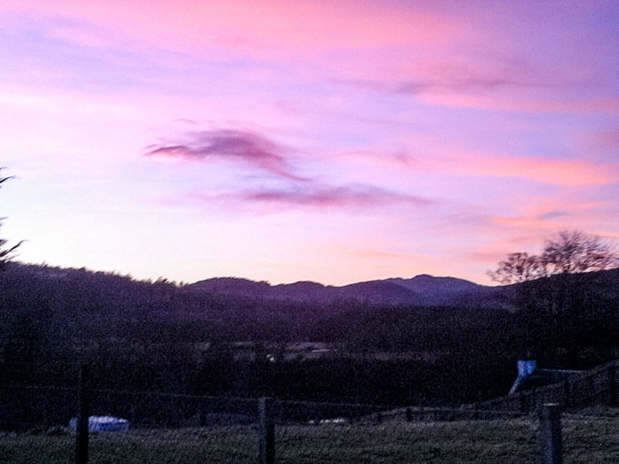 Photo of Lochness