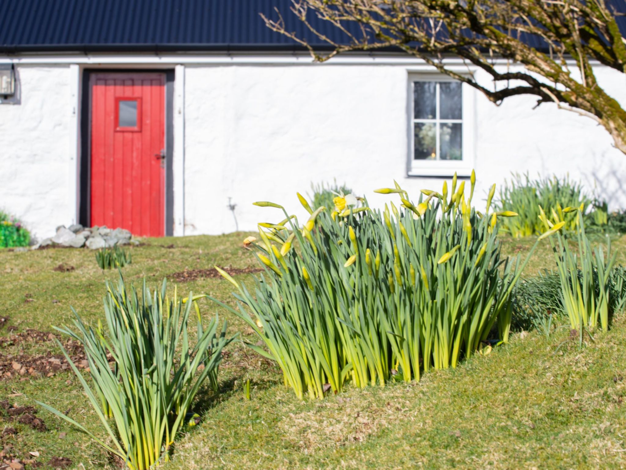 Photo of The Cottage