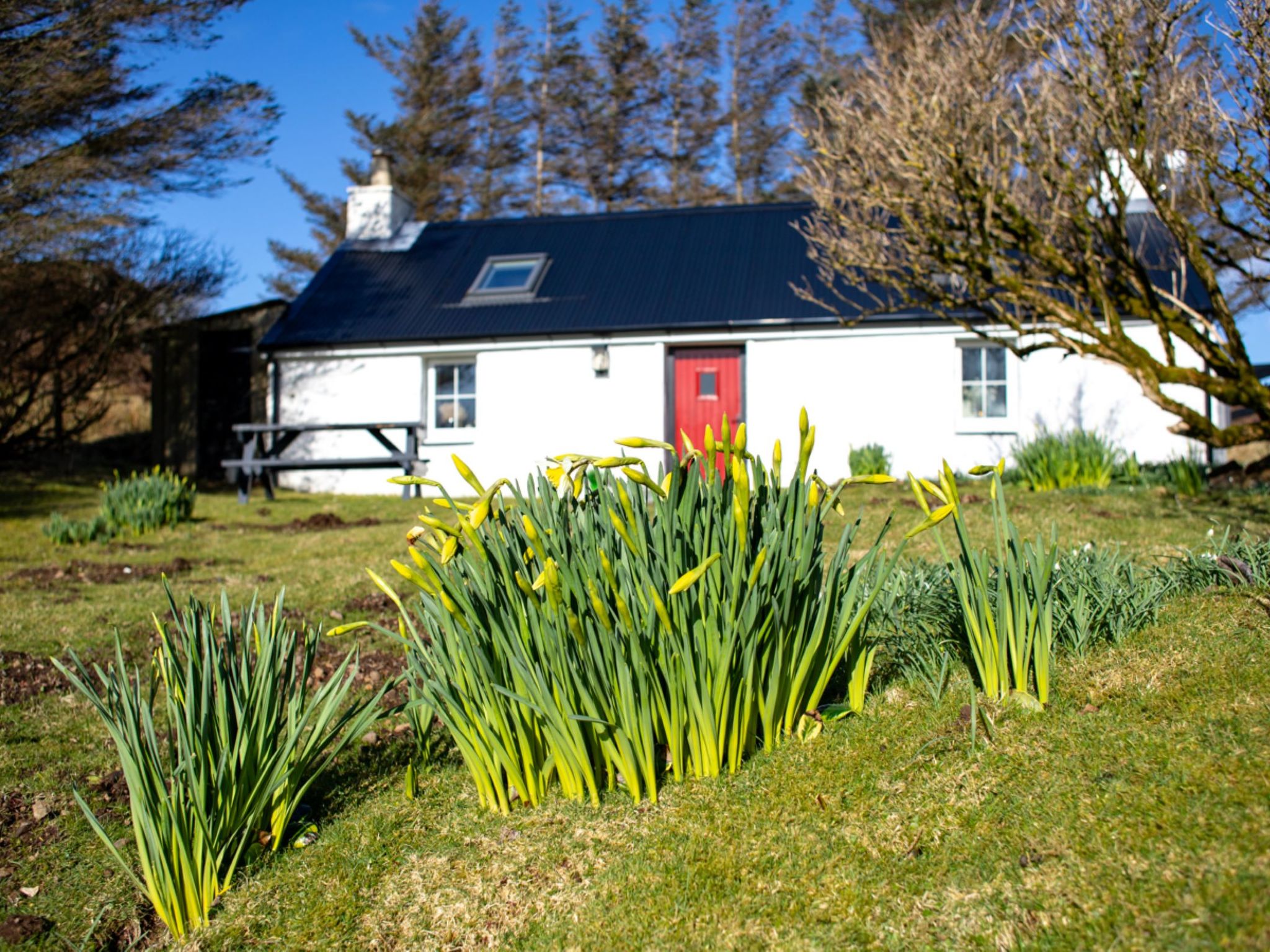 Photo of The Cottage