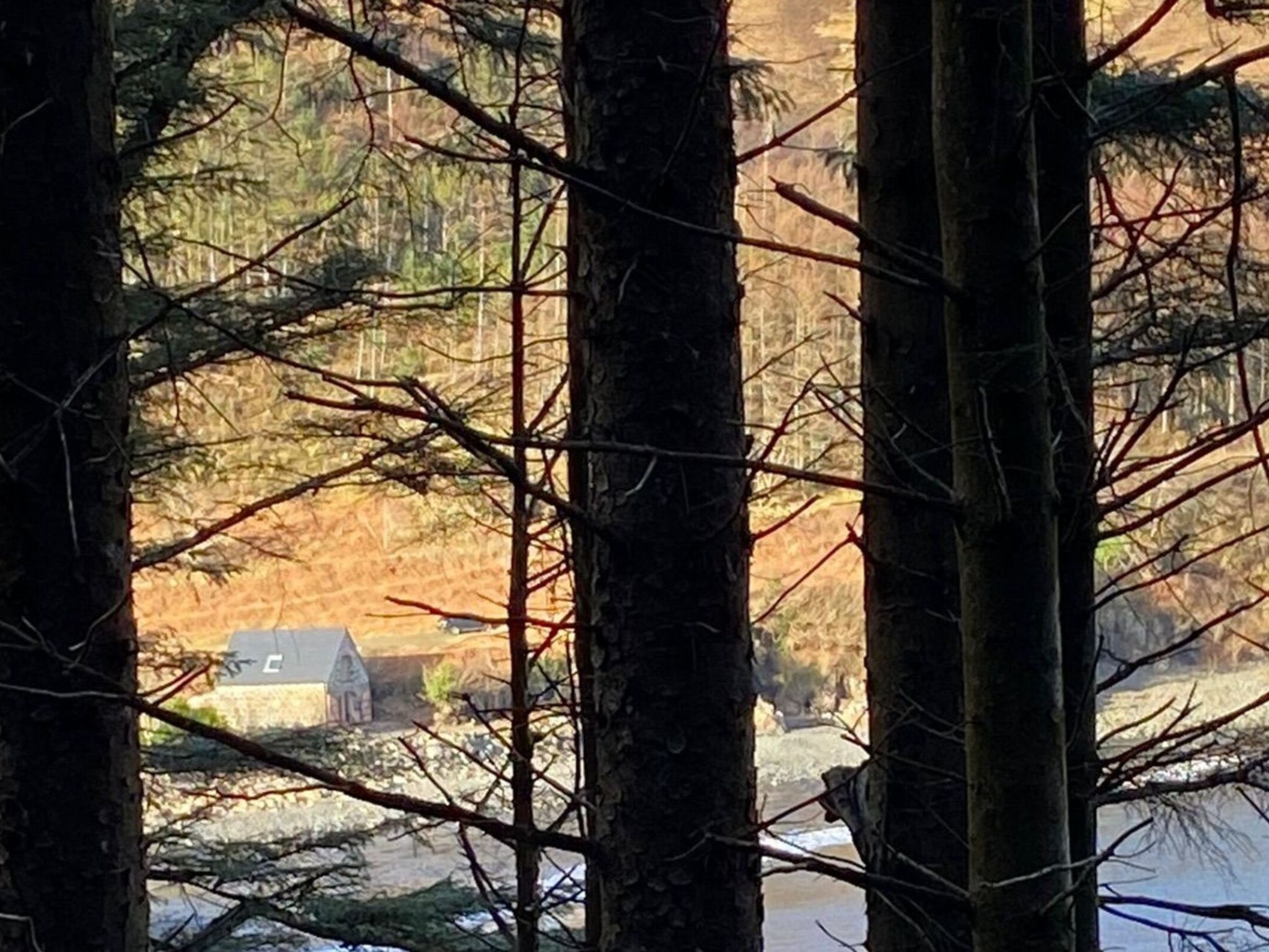 Photo of The Boat house