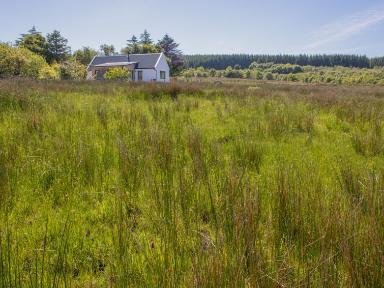 Photo of Finnan's Byre