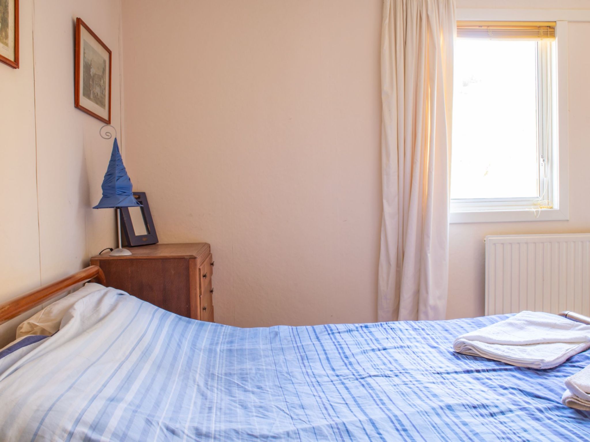 Photo of Blue Lobster