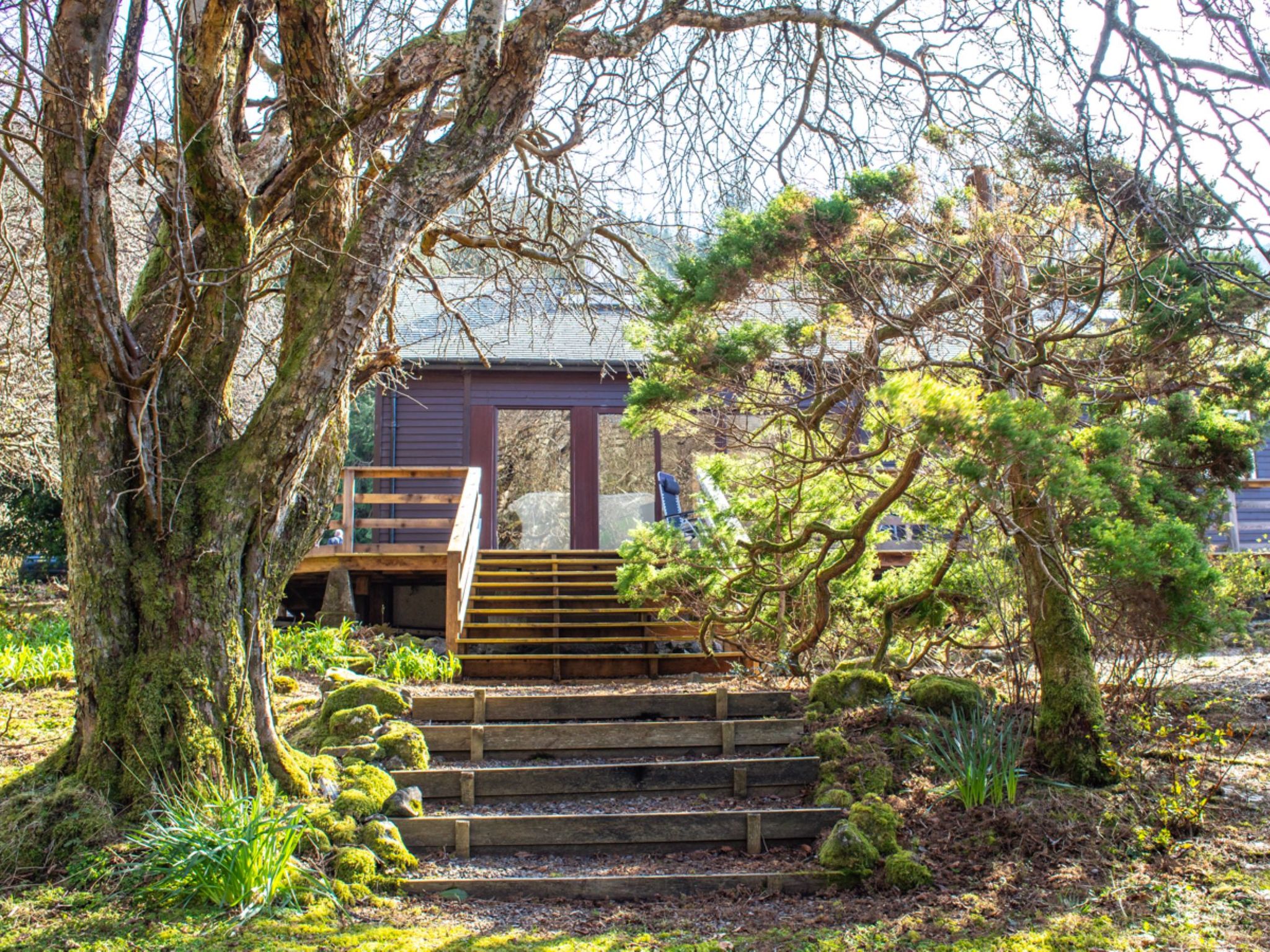 Photo of Blue Lobster