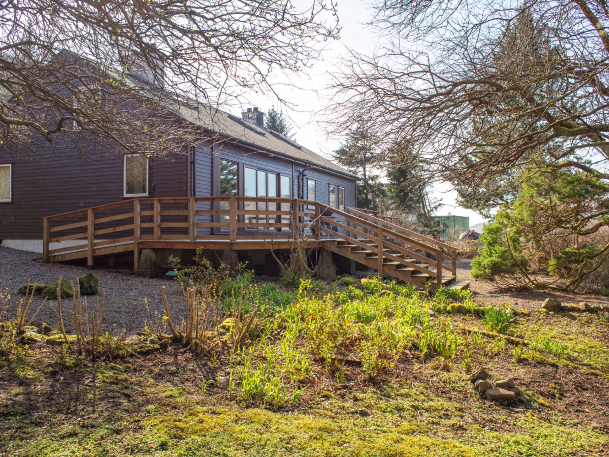 Photo of Blue Lobster