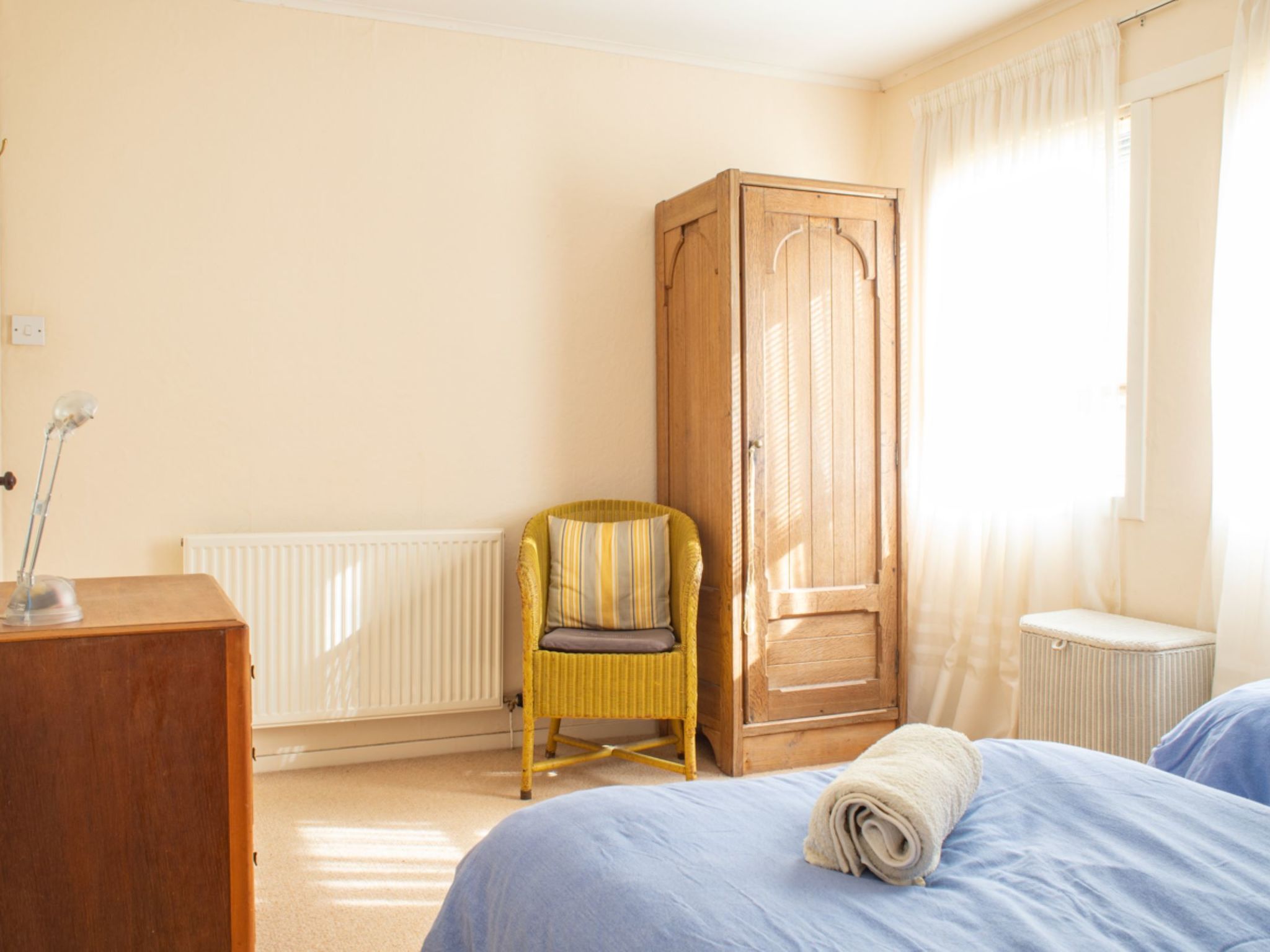 Photo of Blue Lobster