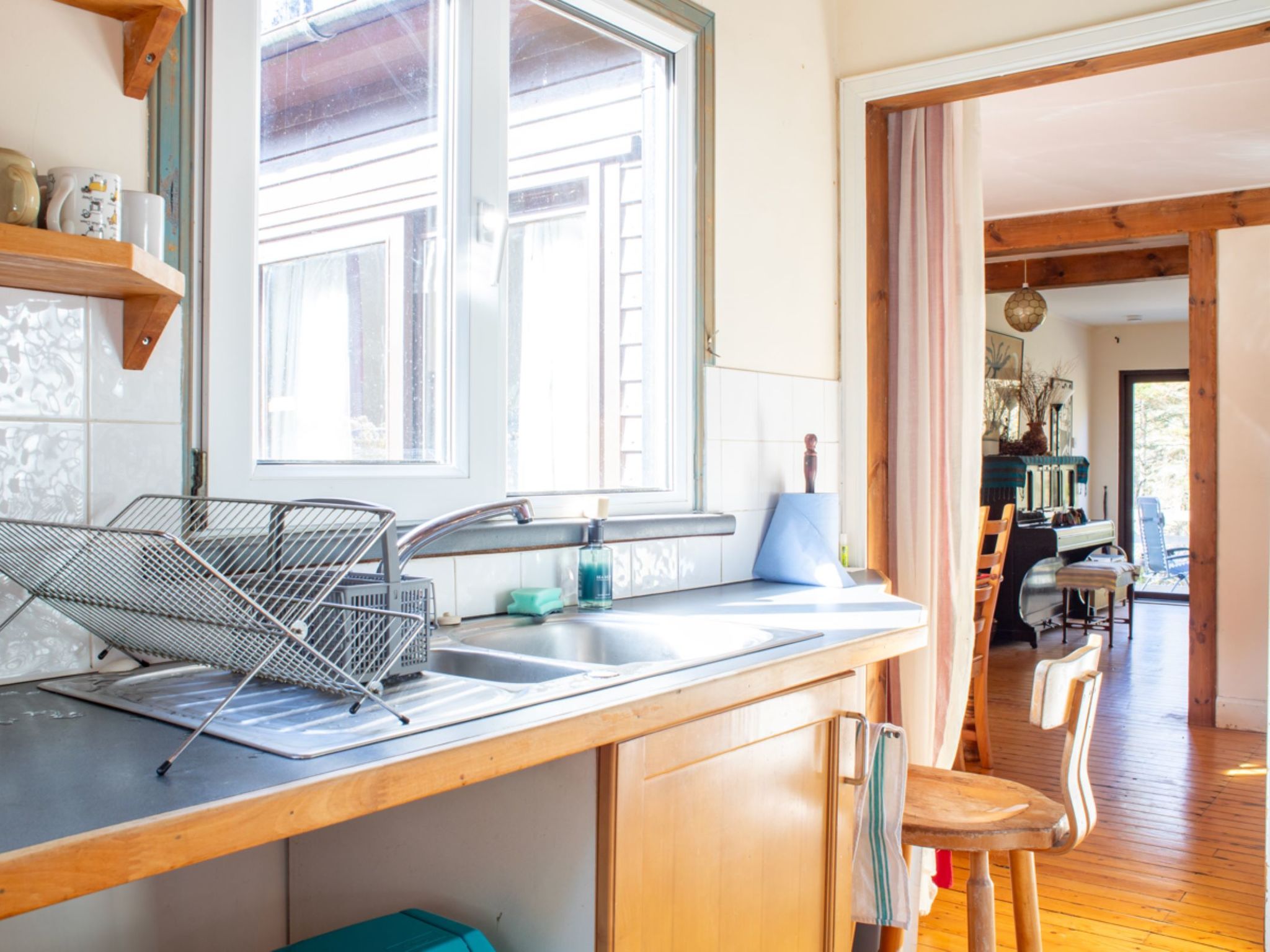 Photo of Blue Lobster