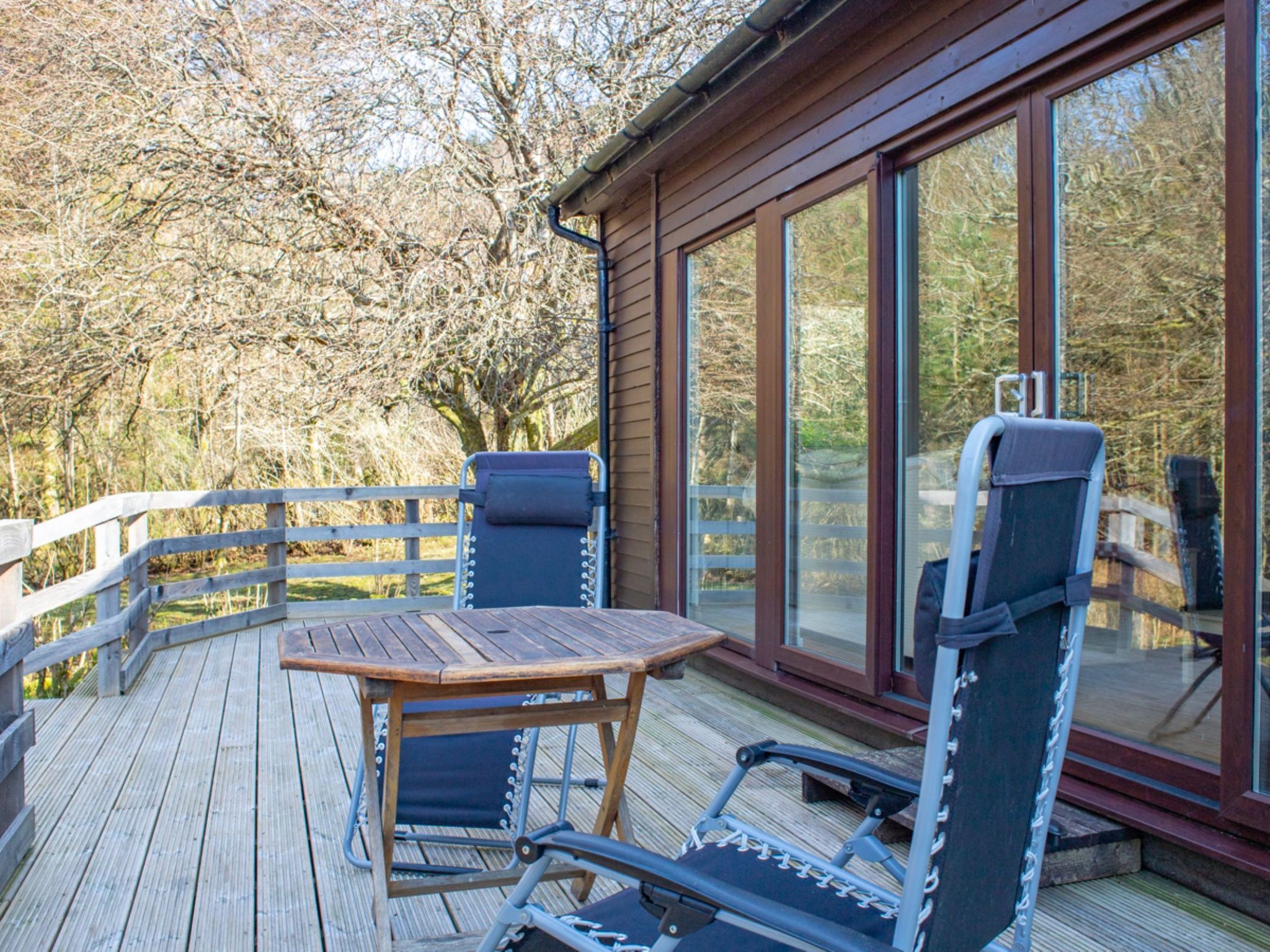 Photo of Blue Lobster