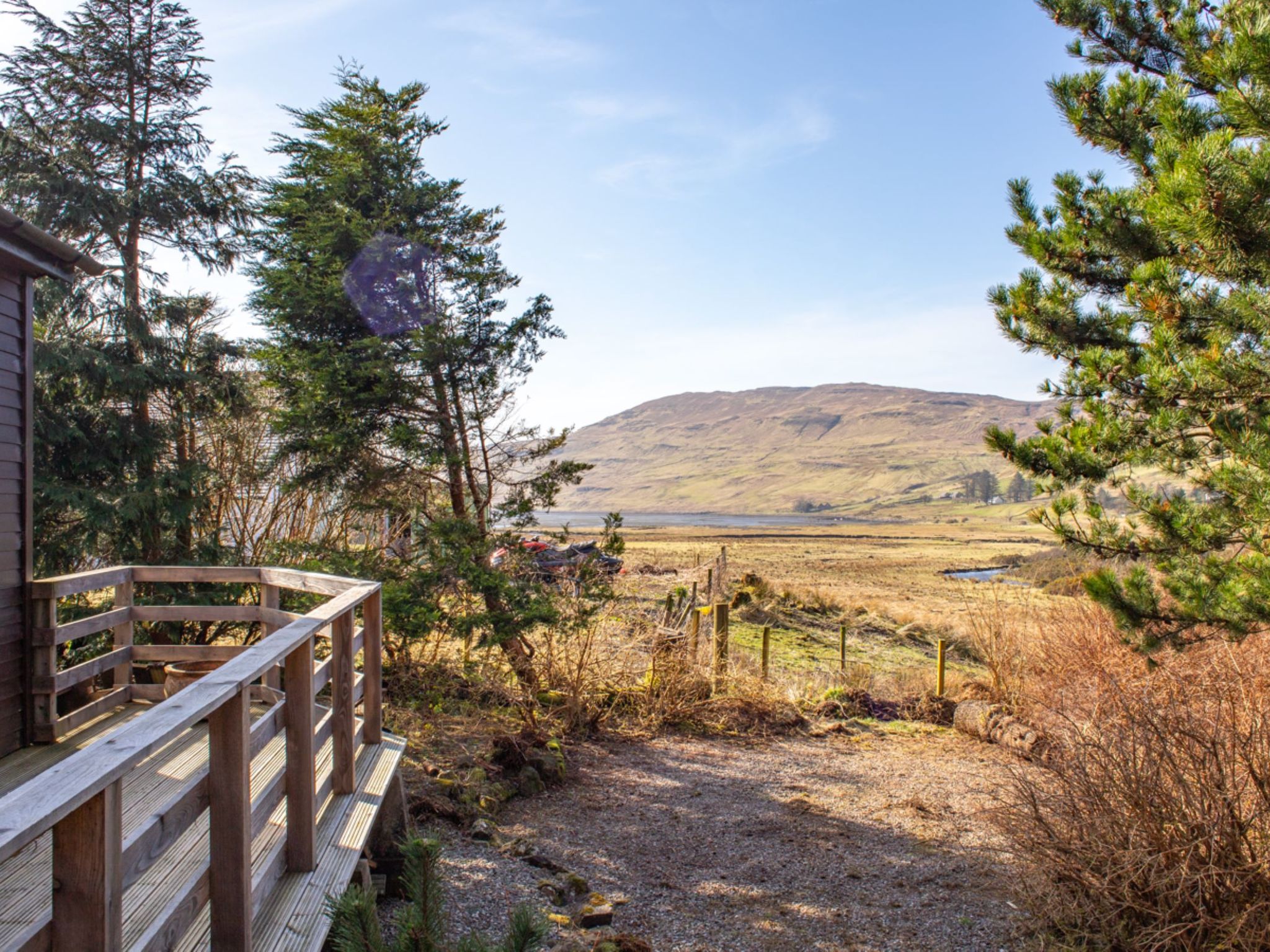 Photo of Blue Lobster