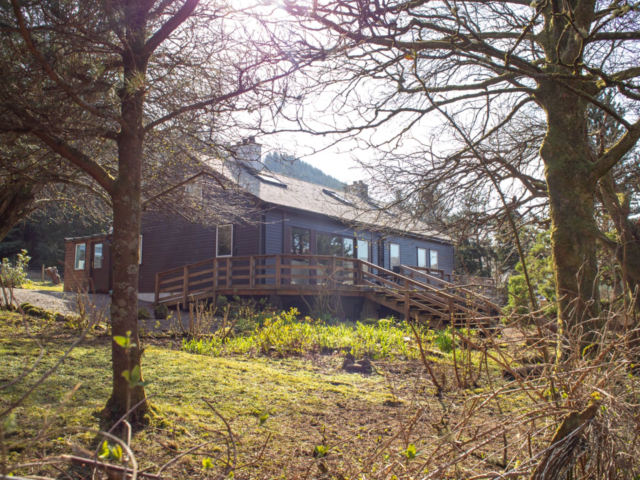 Photo of Blue Lobster