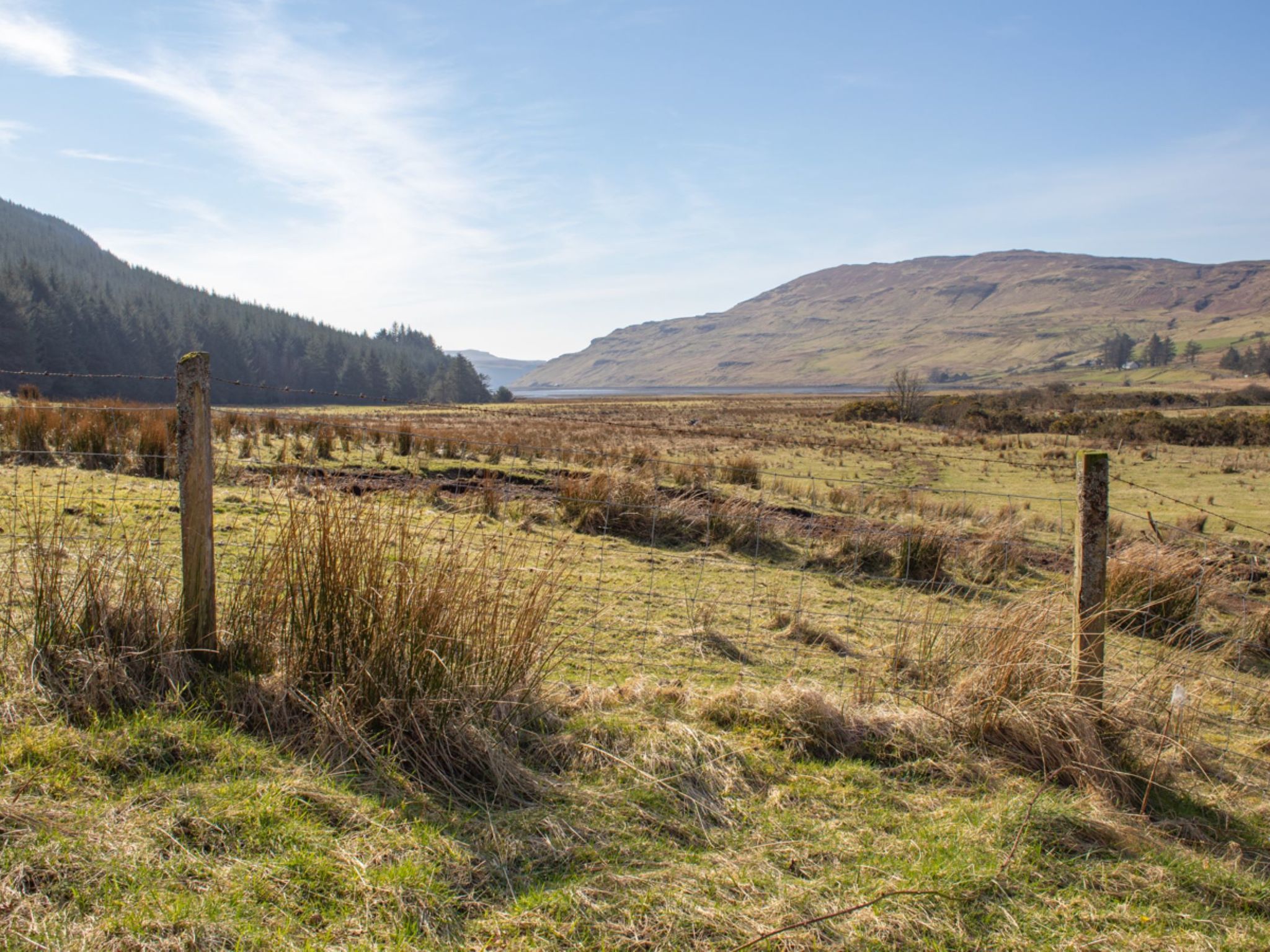 Photo of Blue Lobster