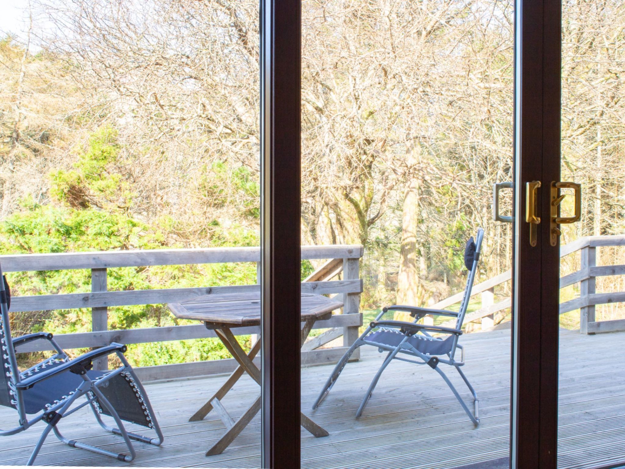 Photo of Blue Lobster