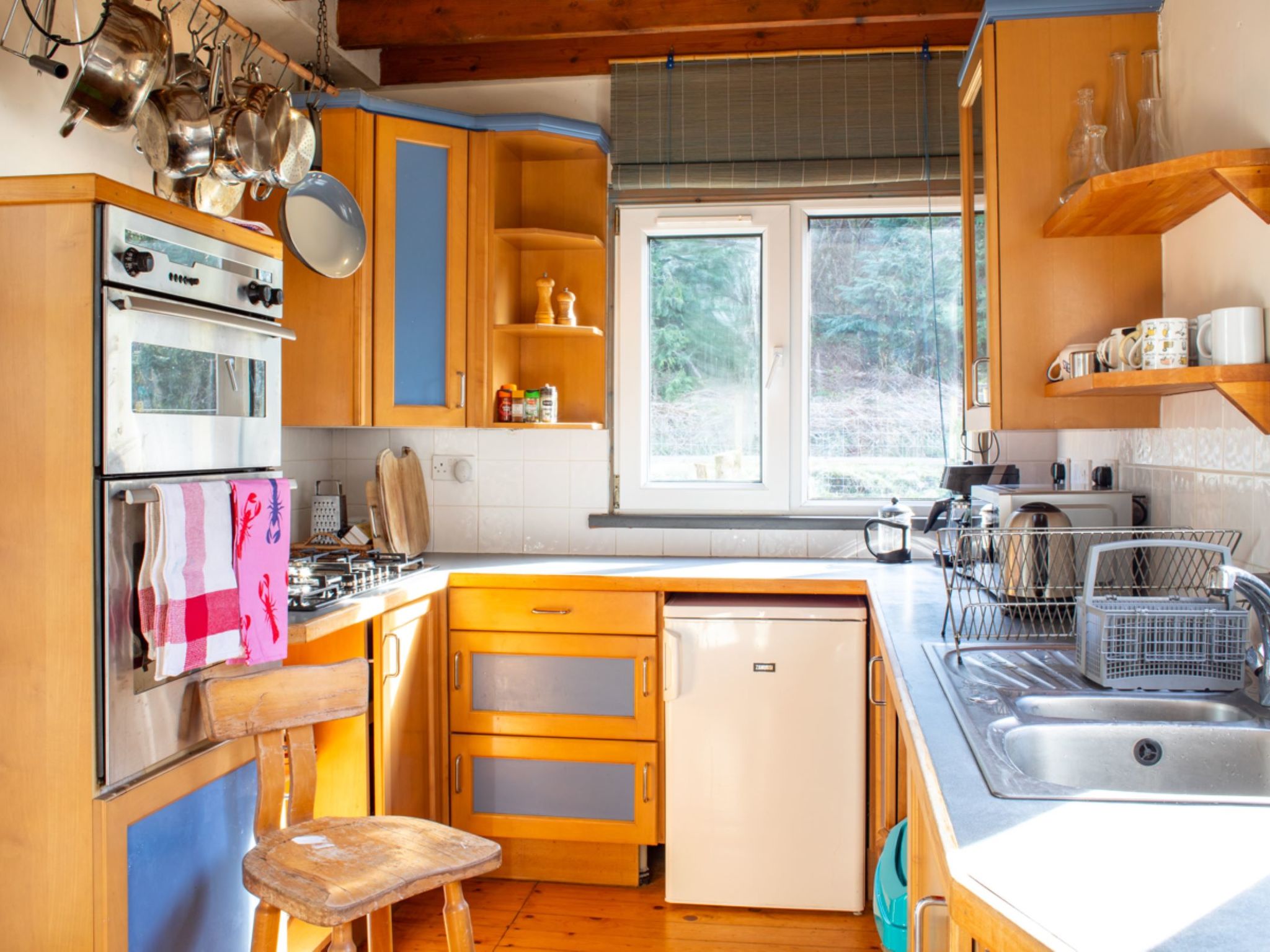 Photo of Blue Lobster