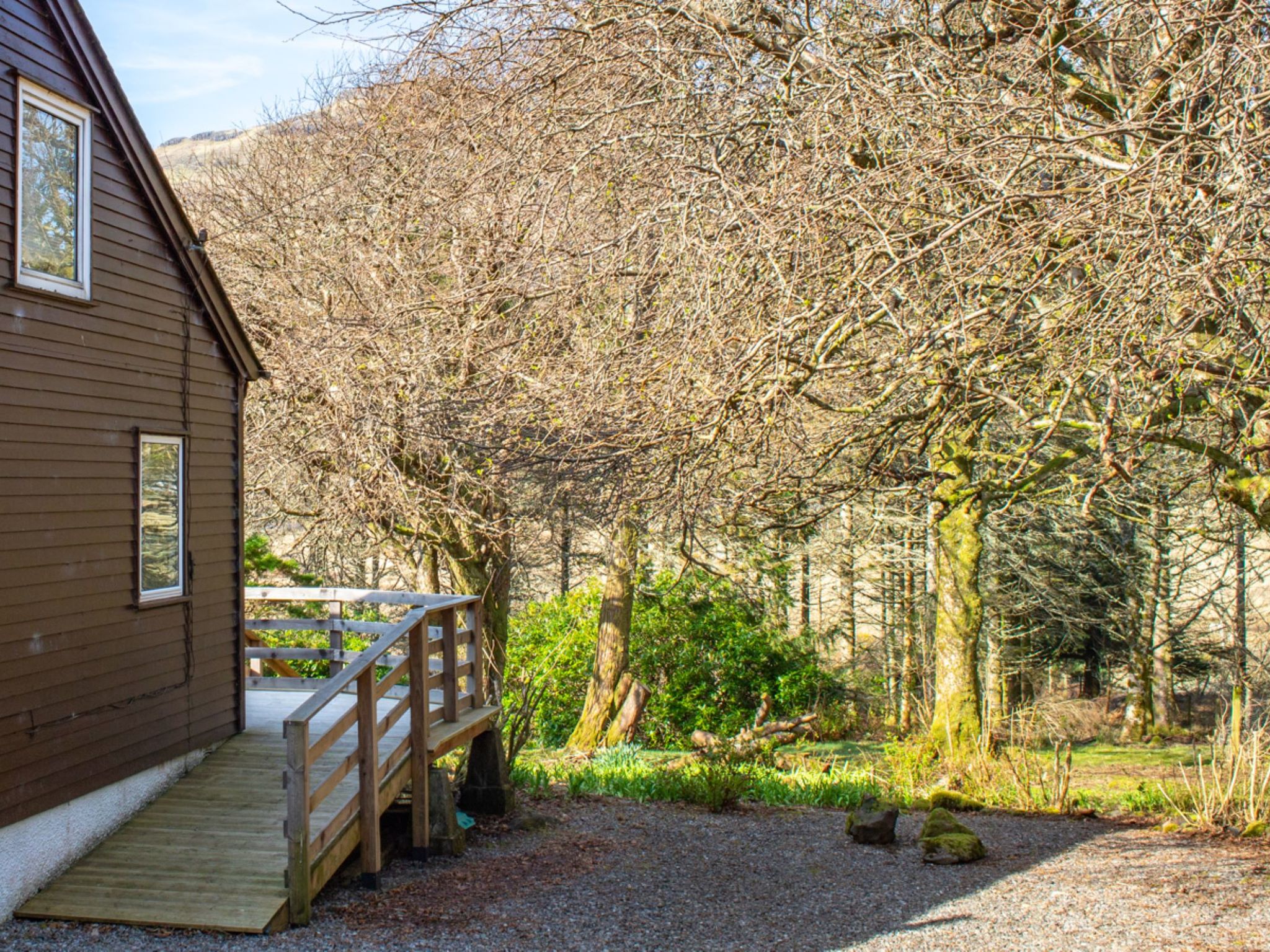 Photo of Blue Lobster