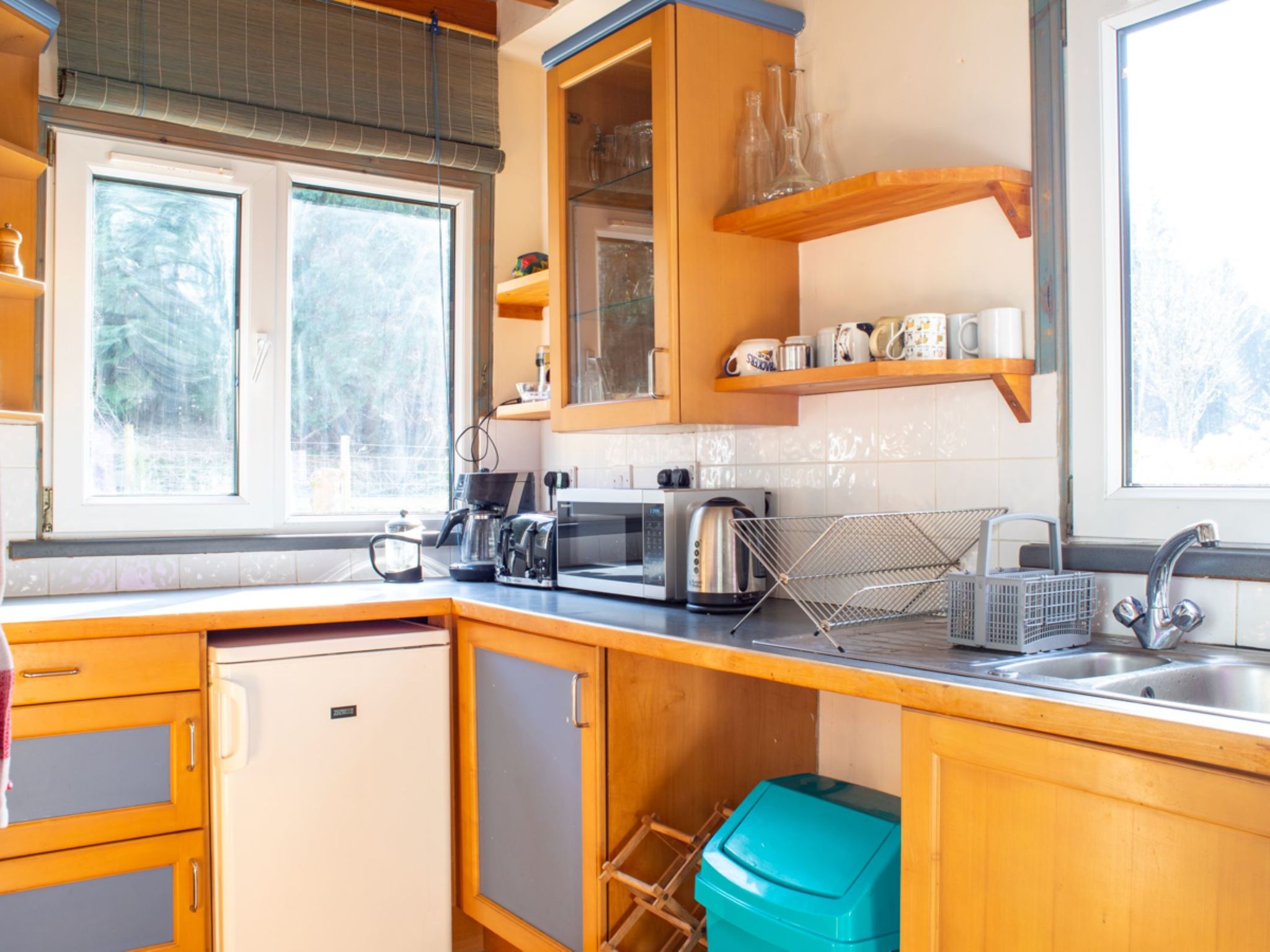 Photo of Blue Lobster