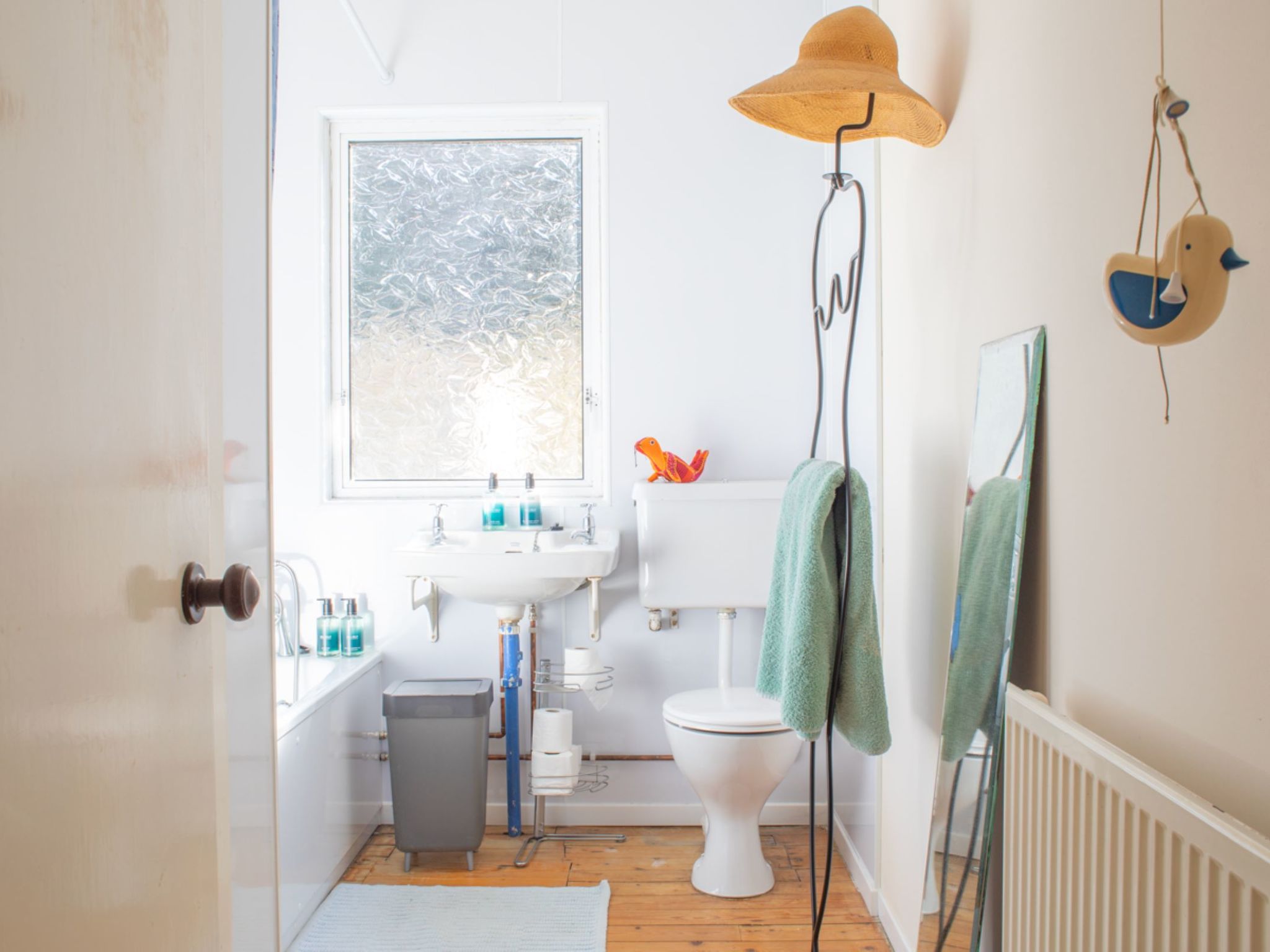 Photo of Blue Lobster