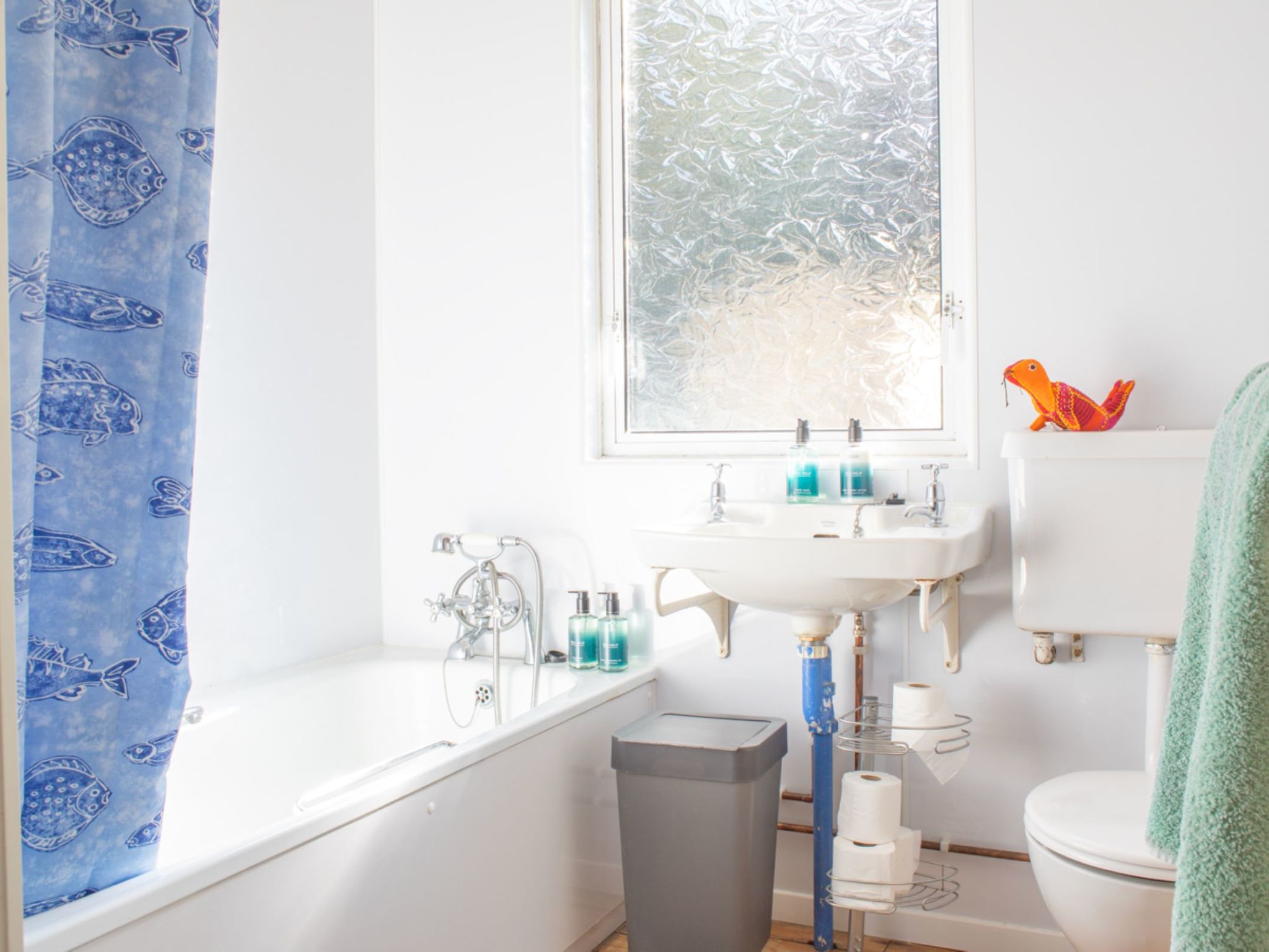 Photo of Blue Lobster