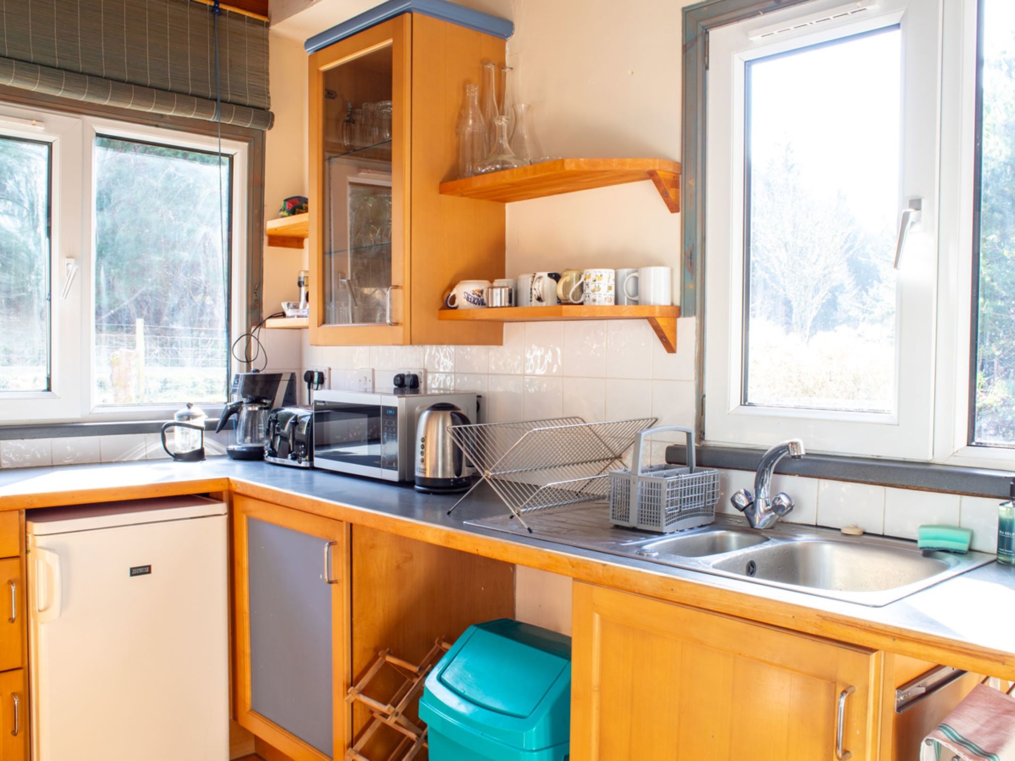 Photo of Blue Lobster